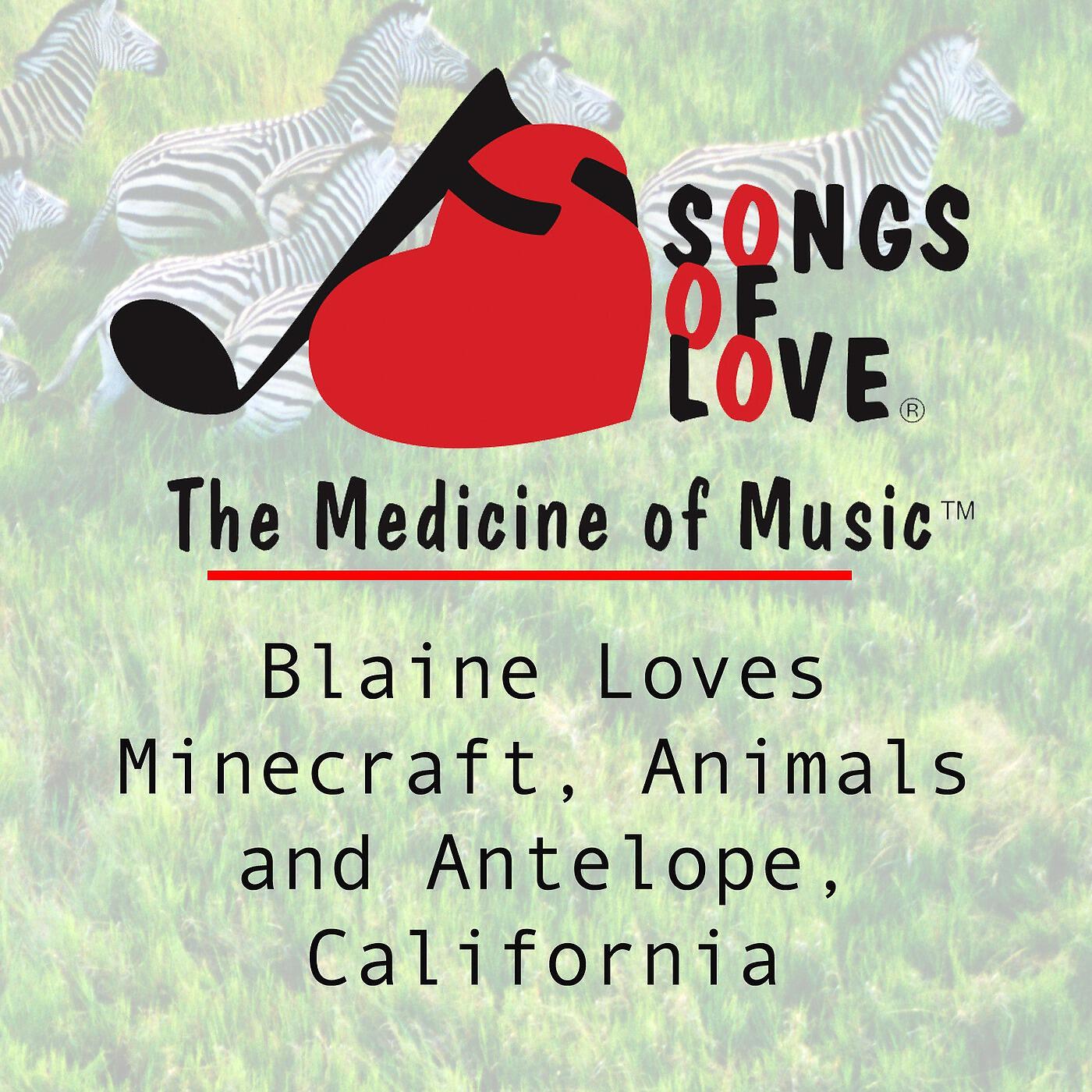C. Allocco - Blaine Loves Minecraft, Animals and Antelope, California