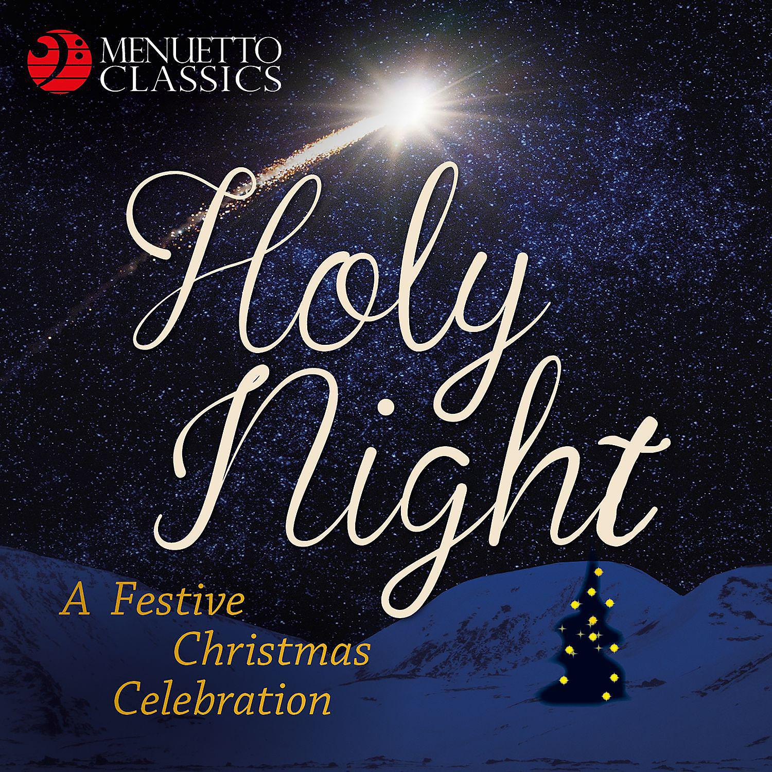 Постер альбома Holy Night: A Festive Christmas Celebration