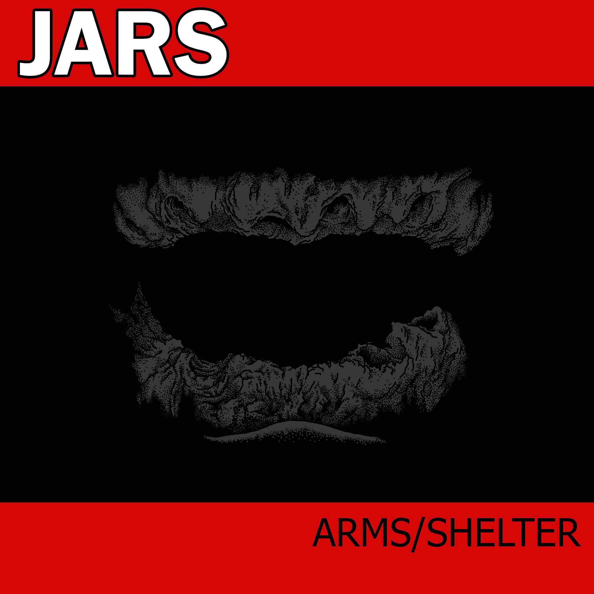 Постер альбома Arms / Shelter