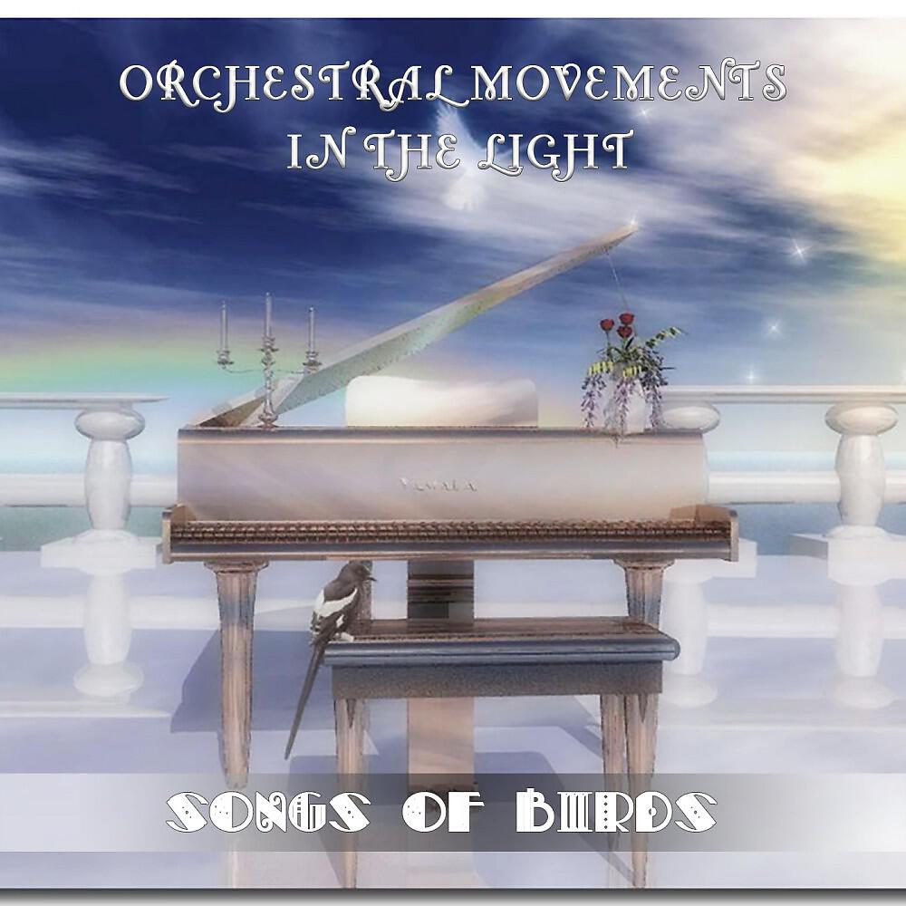 Orchestral Movements in the Light - Serenade from String Quartet No.17 (Original Mix)