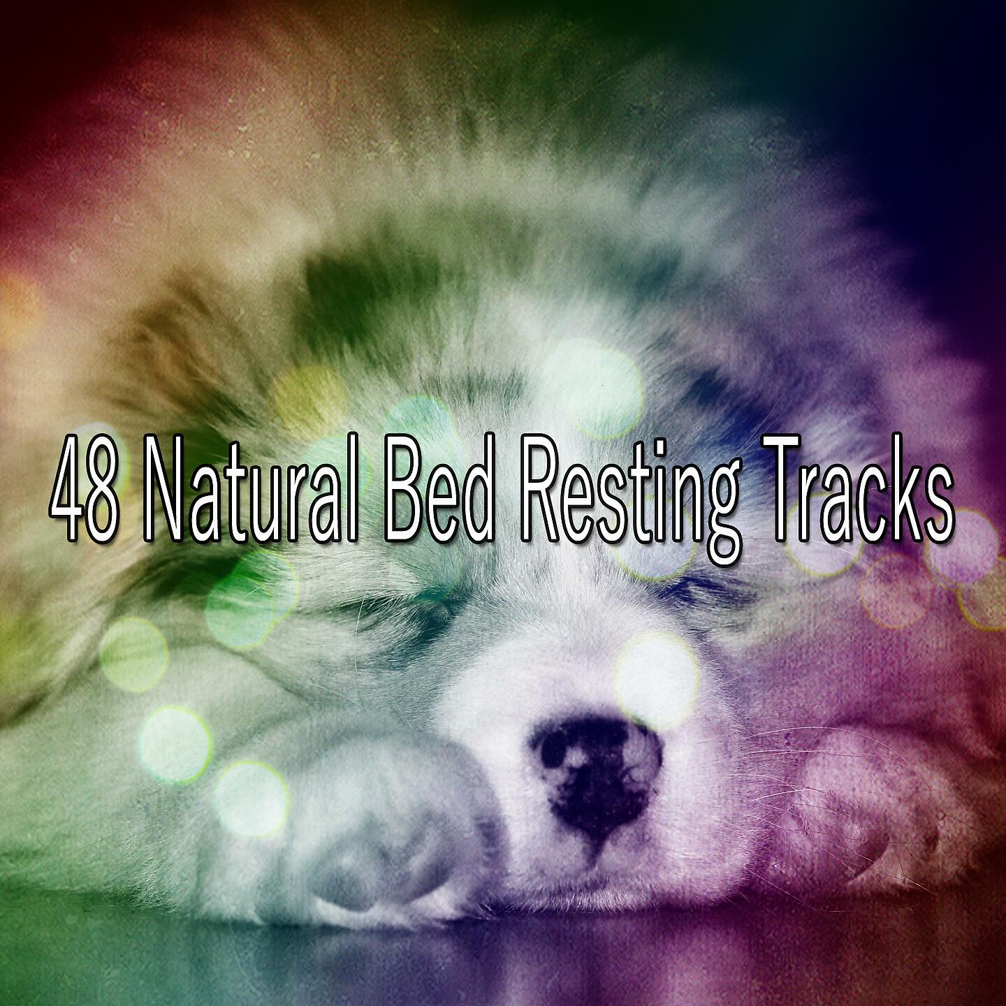 Trouble Sleeping Music Universe - Mystically Binaural