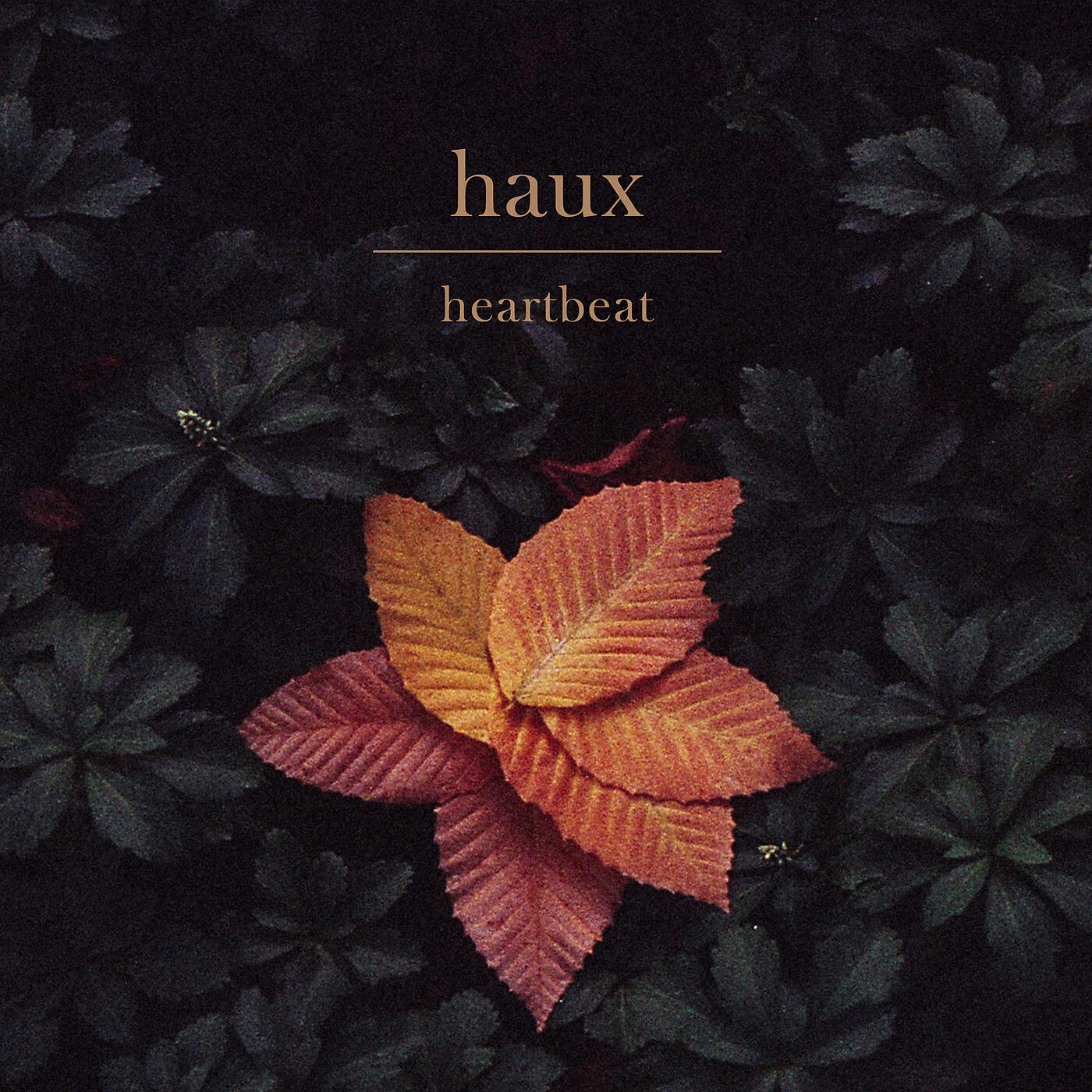 Haux - Heartbeat