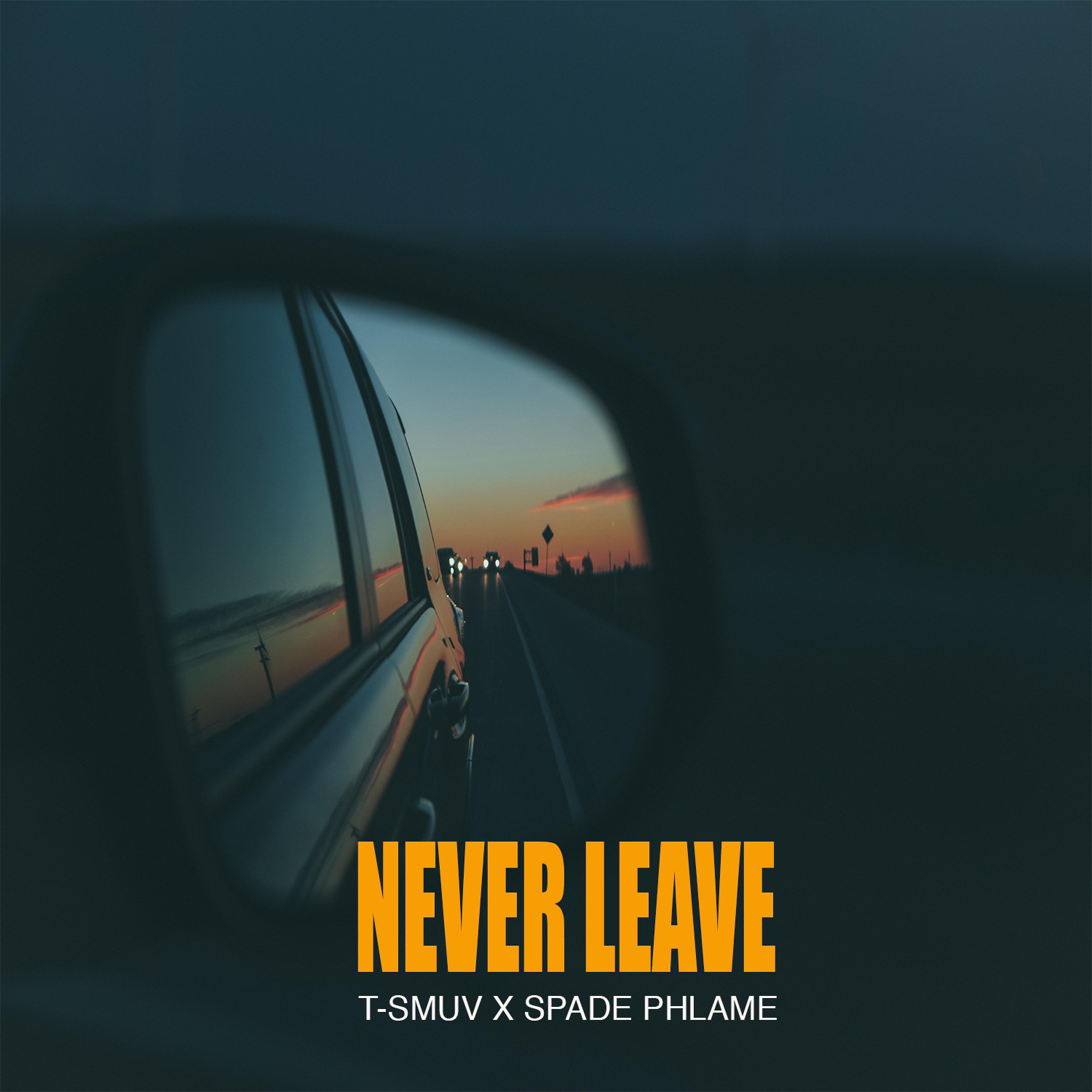Постер альбома Never Leave (feat. Spade Phlame)