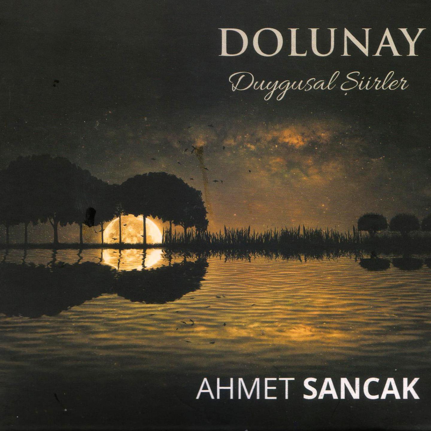 Постер альбома Dolunay