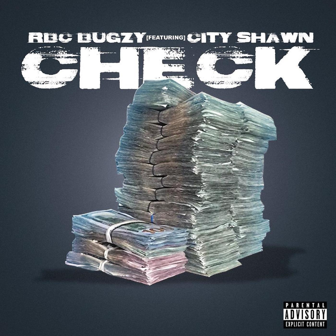 Постер альбома Check (feat. City Shawn)