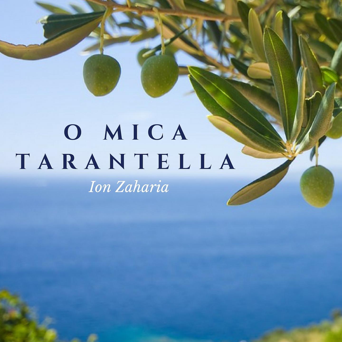 Постер альбома O Mica Tarantella