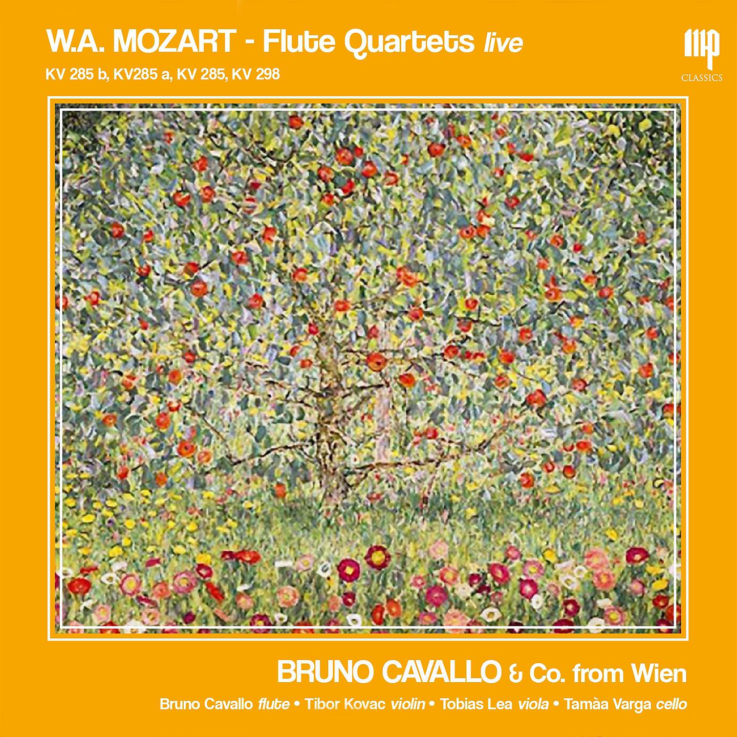 Постер альбома W. A. Mozart: Quartetti