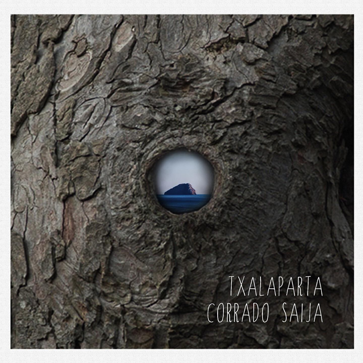 Corrado Saija - Falsi Alpha