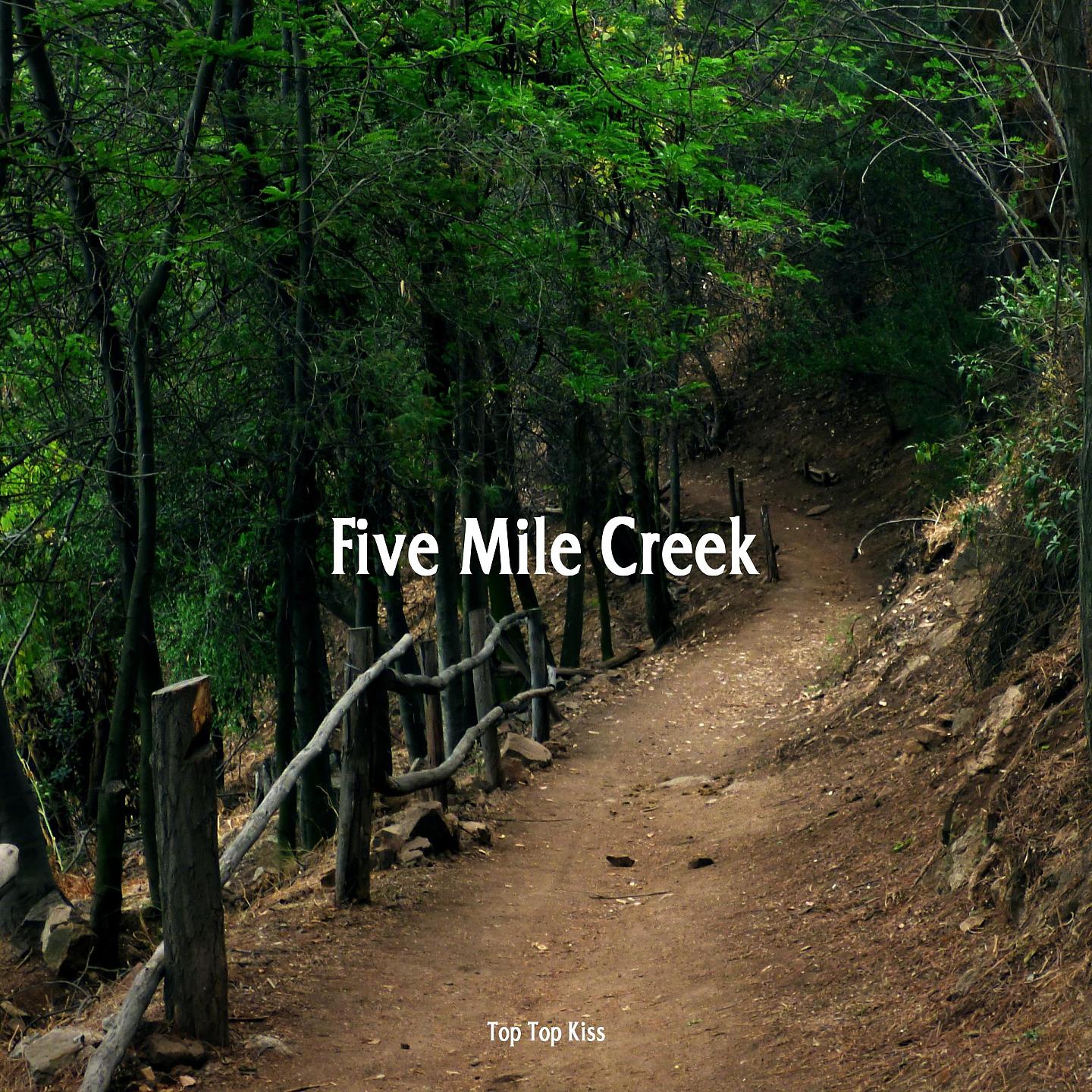 Постер альбома Five Mile Creek