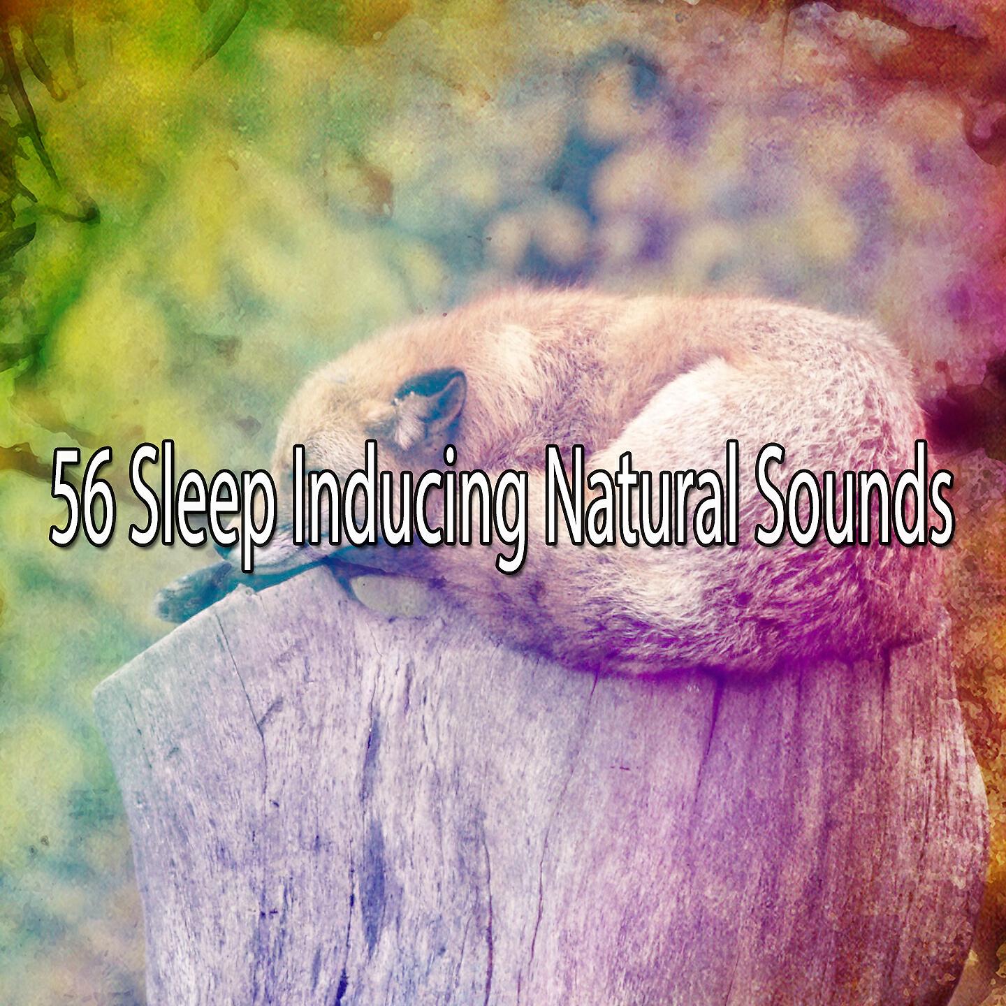 White Noise For Baby Sleep - Streaming Serenity