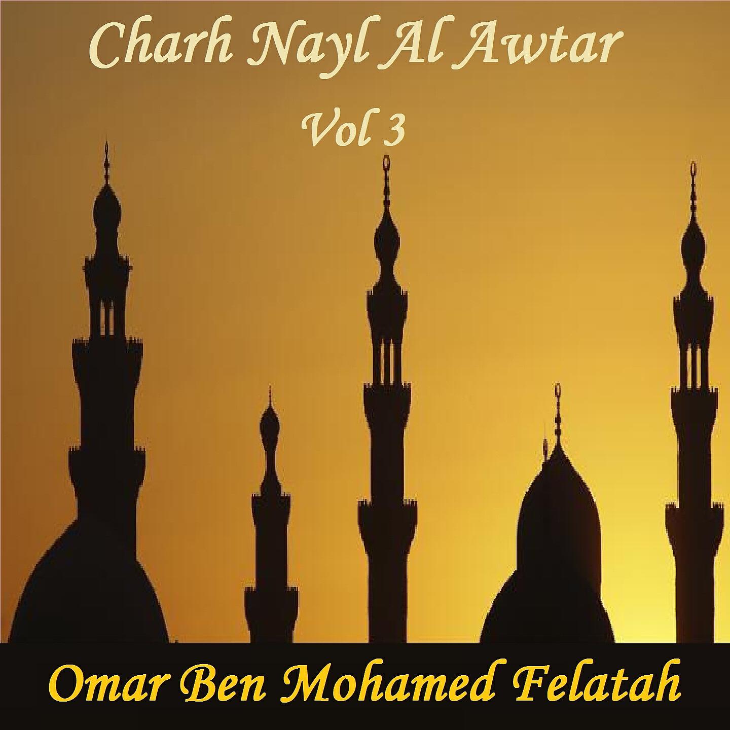Omar Ben Mohamed Felatah - Charh Nayl Al Awtar,Pt.11