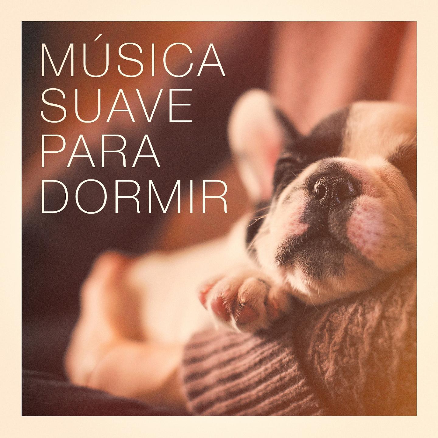 Постер альбома Música Suave Para Dormir