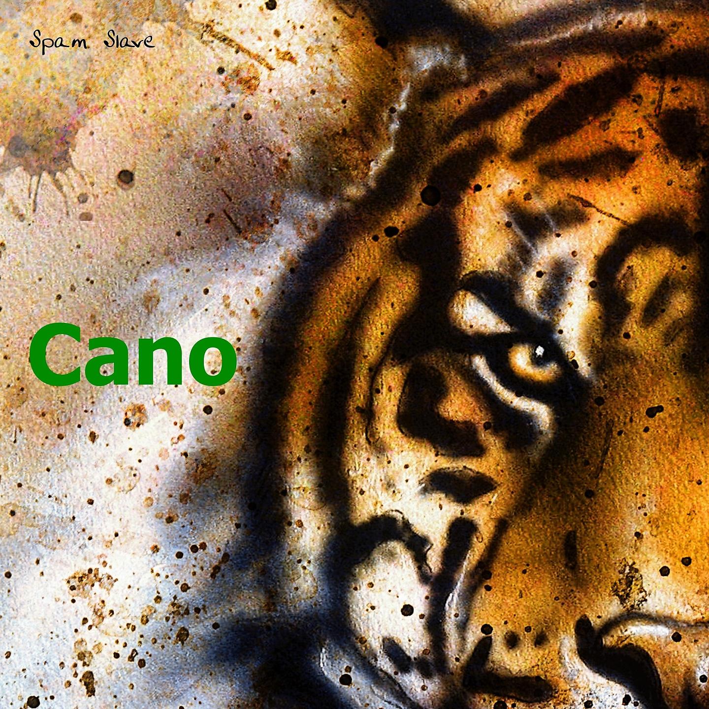 Постер альбома Cano