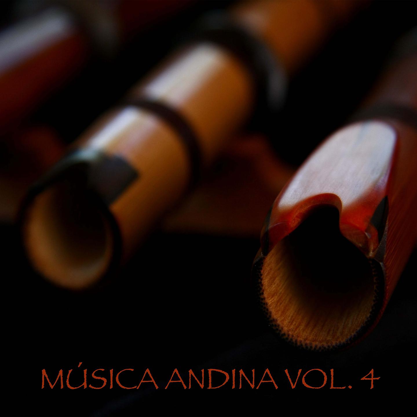 Постер альбома Música Andina, Vol. 4