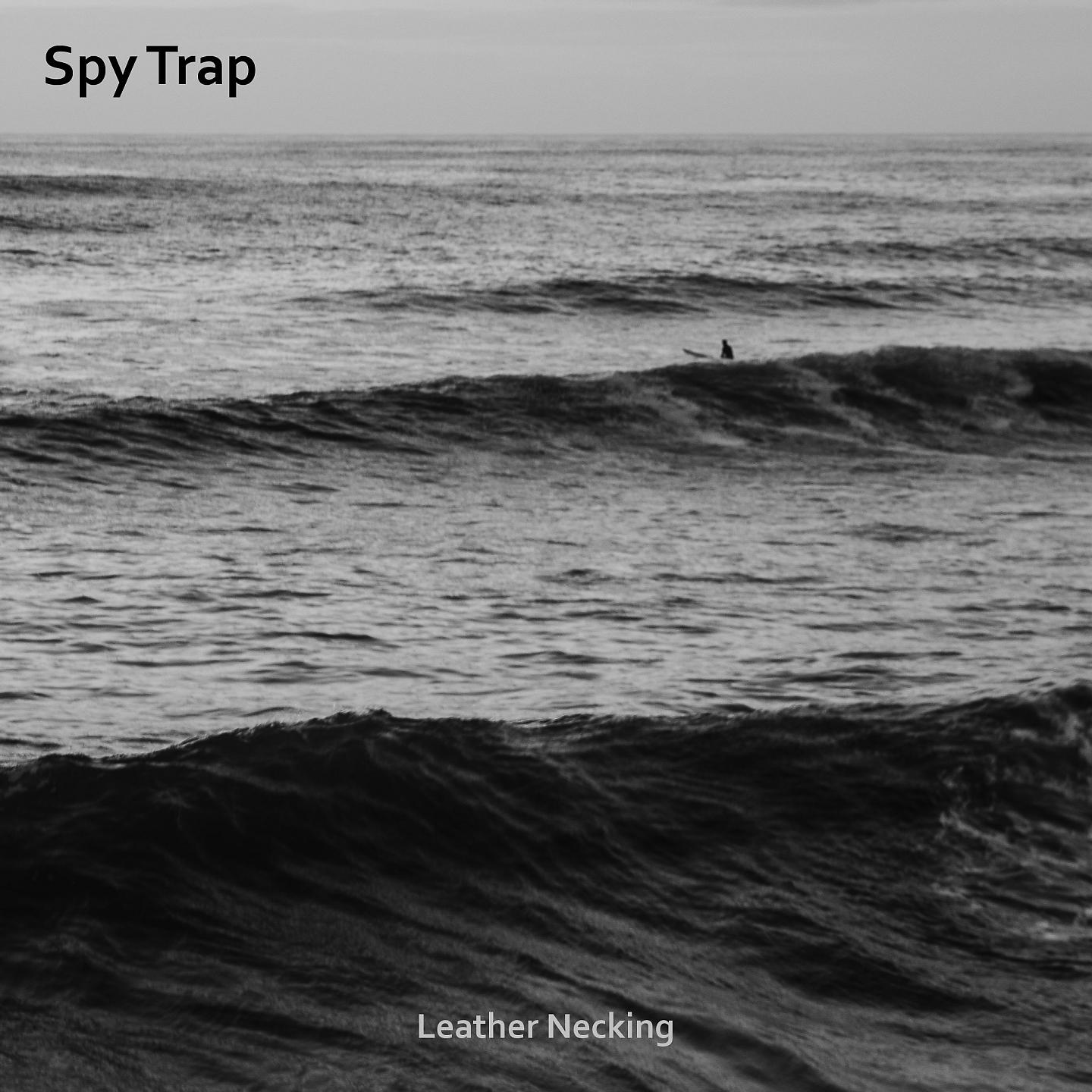 Постер альбома Spy Trap