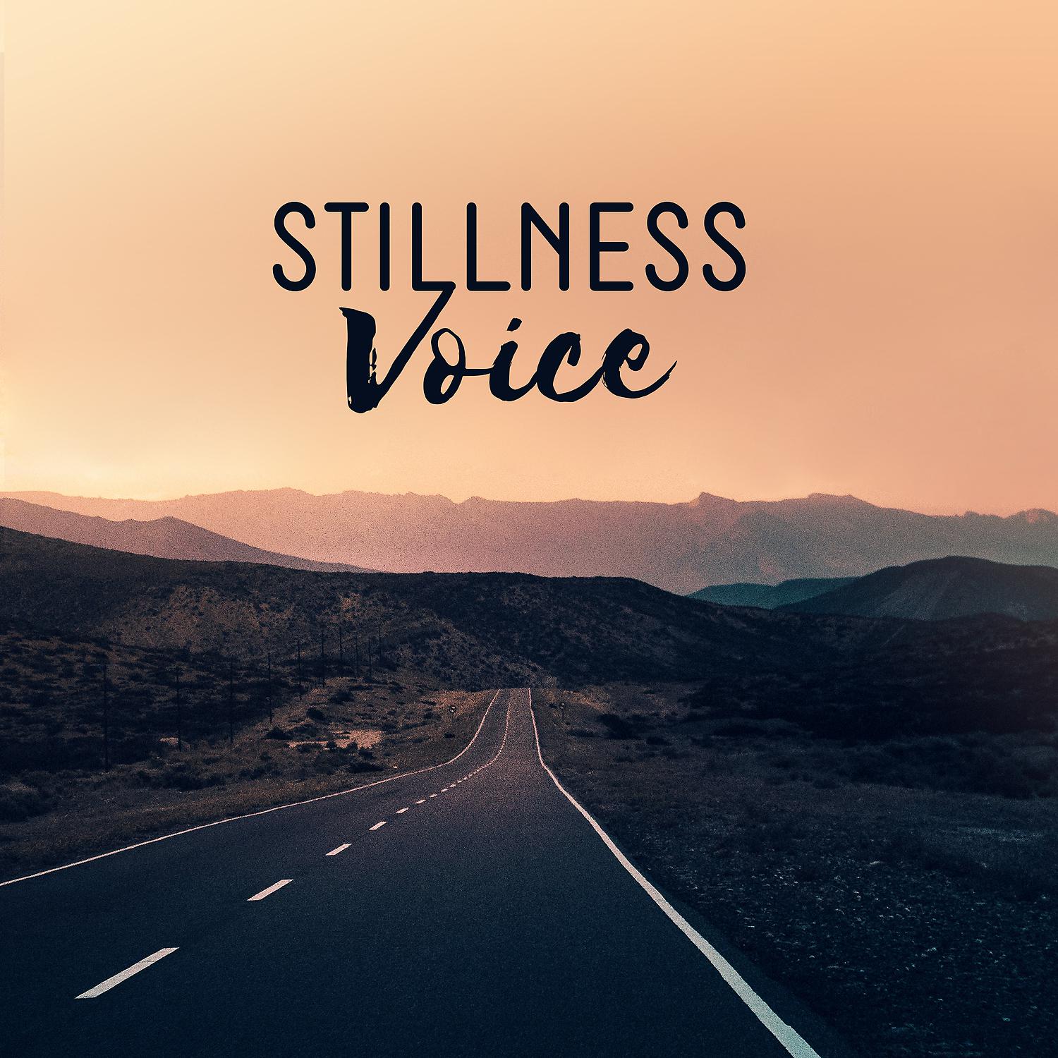 Постер альбома Stillness Voice: Unique Moments with New Age