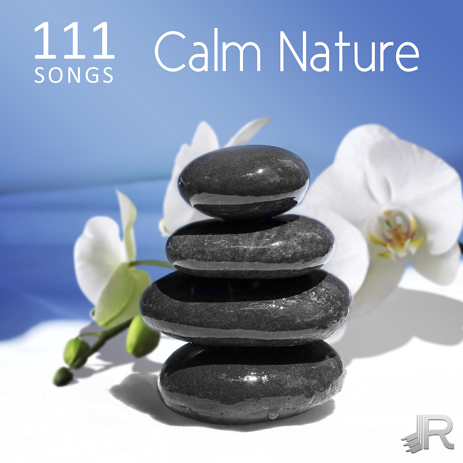 Yin Yoga Academy - Oasis of Zen Relaxation for Buddhist Meditation