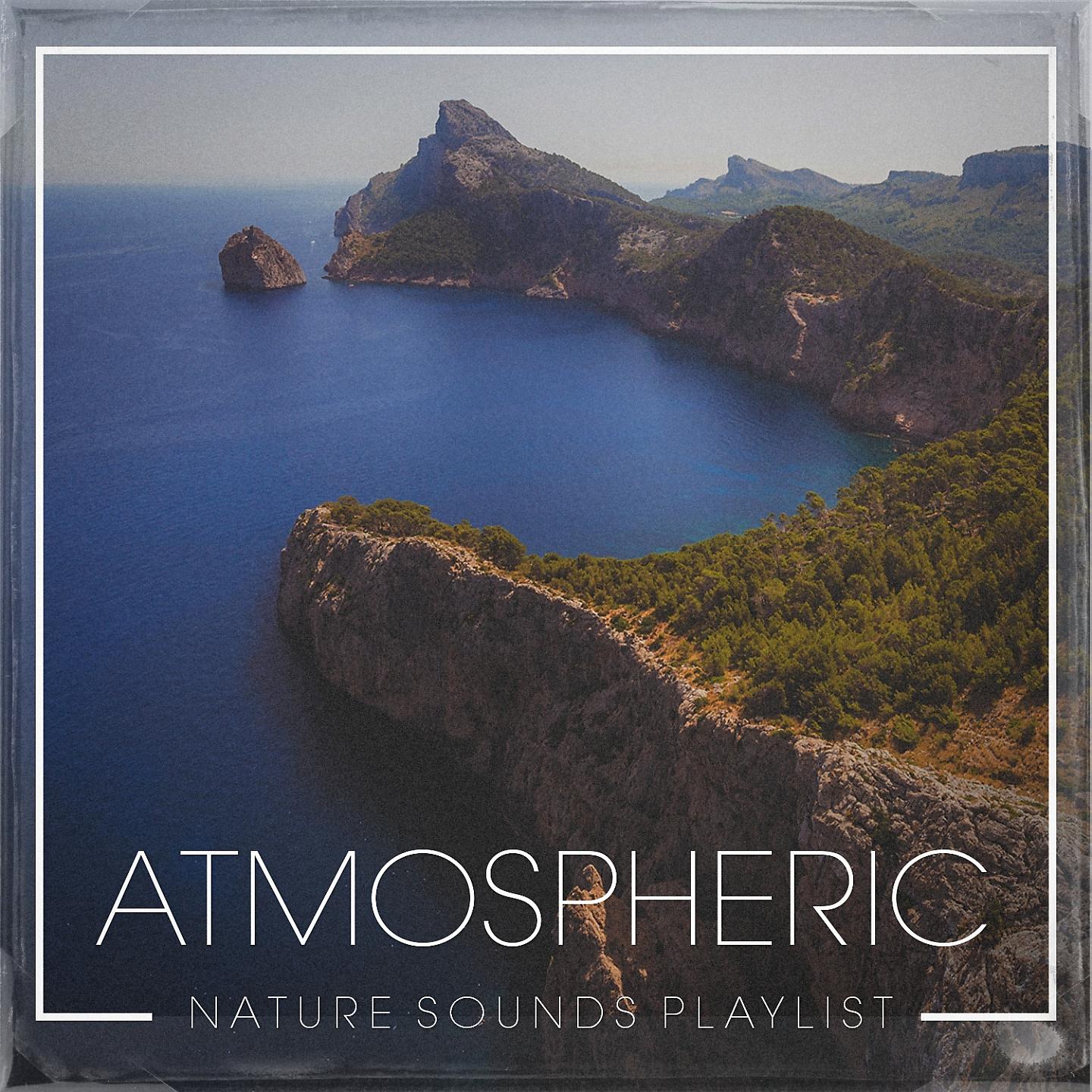 Постер альбома Atmospheric Nature Sounds Playlist