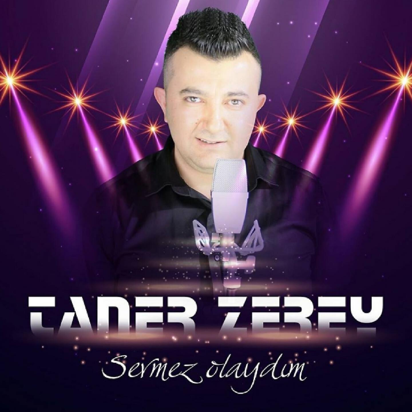 Taner Zerey - Sevmez Olaydım