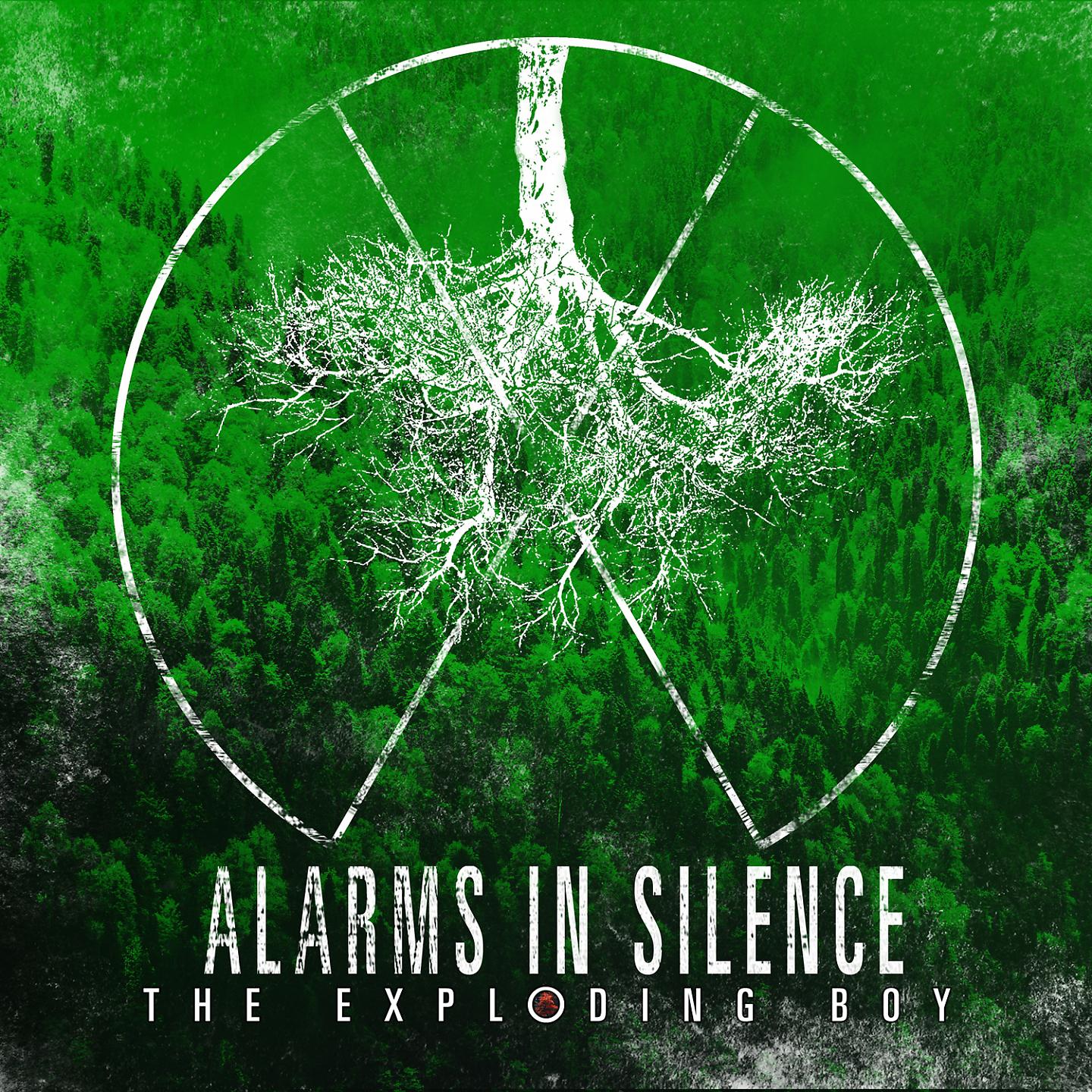 Постер альбома Alarms in Silence