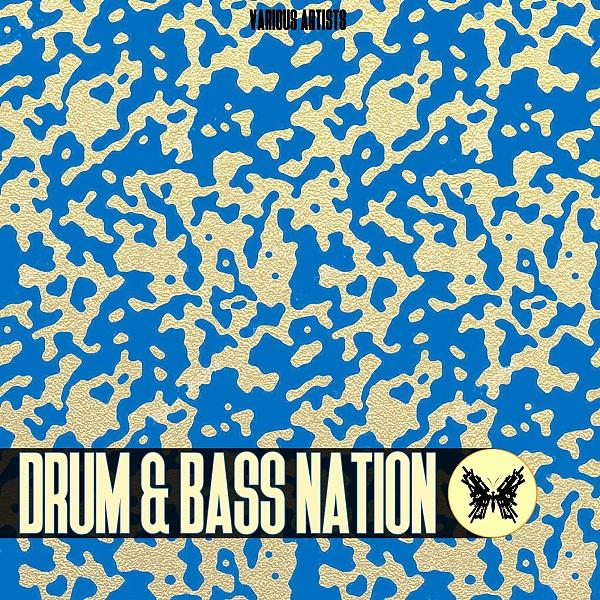 Постер альбома Drum & Bass Nation