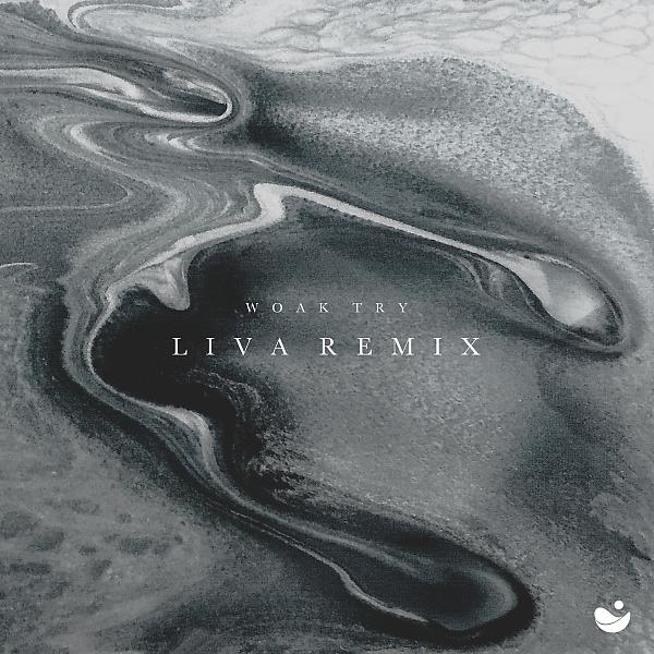 Постер альбома Try (LIVA Remix)