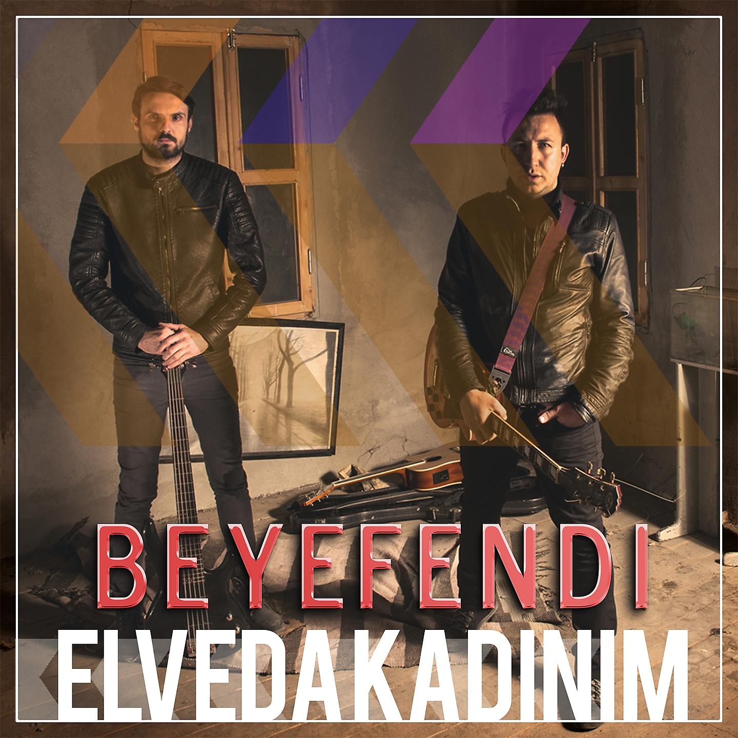 Постер альбома Elveda Kadınım