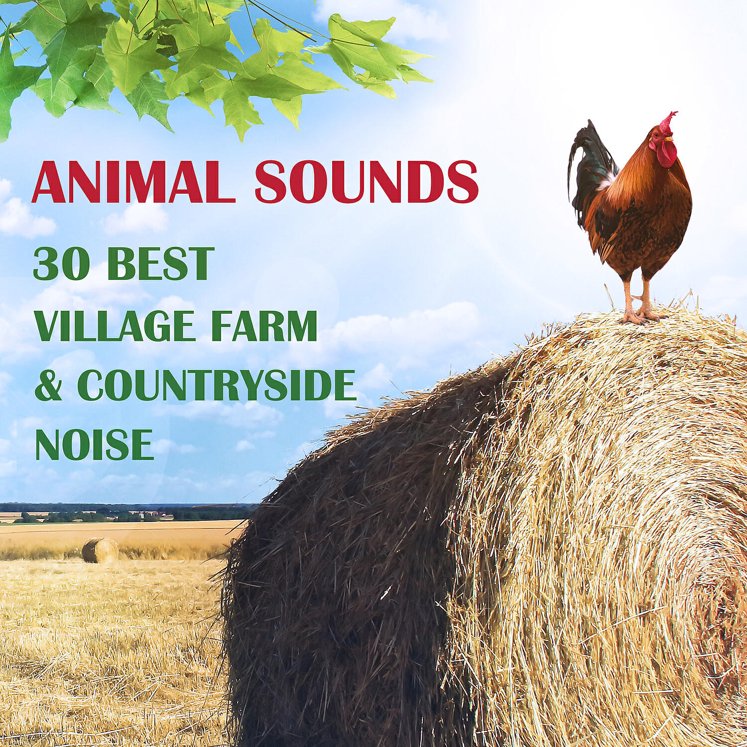 Sound Effects Zone - Donkey in the Spanish Farm