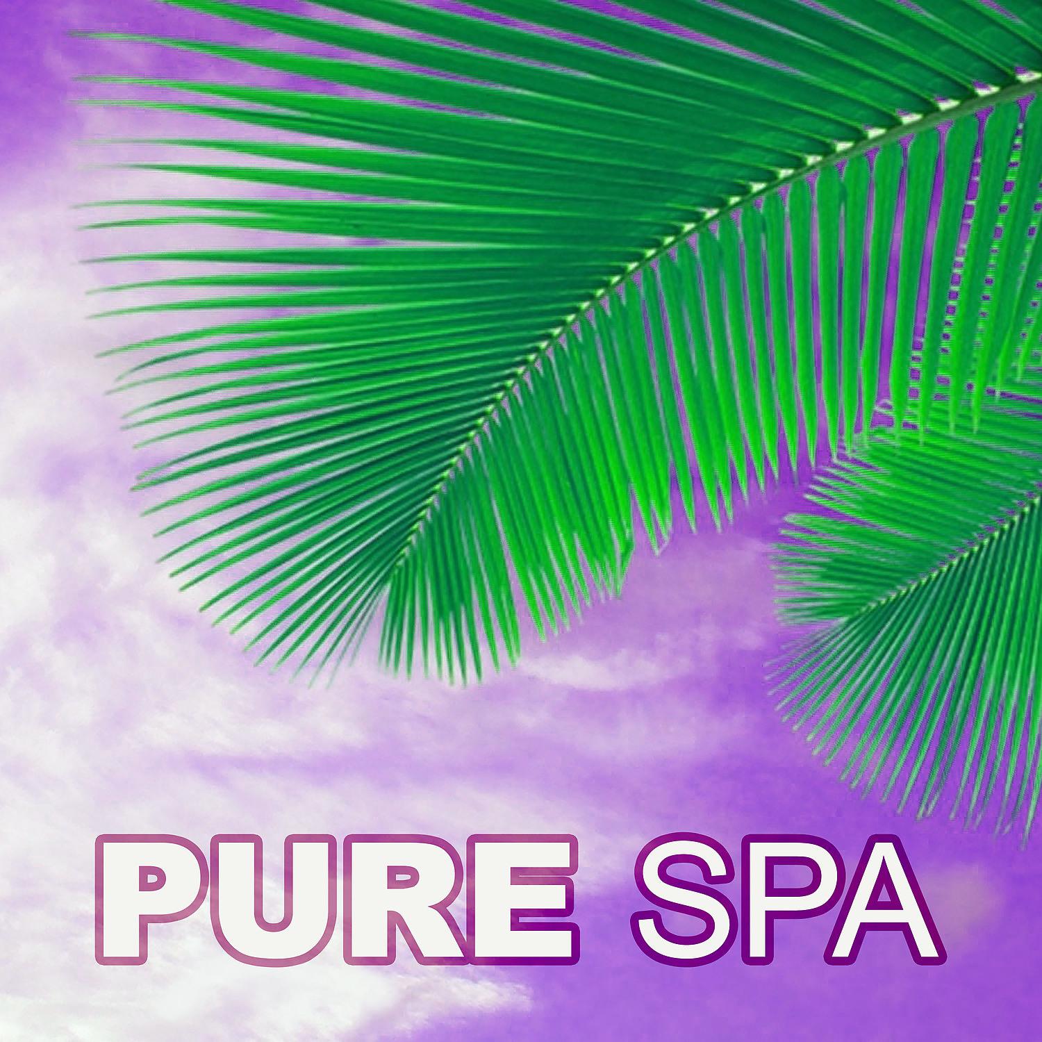 Постер альбома Pure Spa – Chill Out Music for SPA and Wellness, Soothing Vibes for Massage, Sunrise, Sunset Lounge, Ocean Dreams, Chill Out Lounge Summer