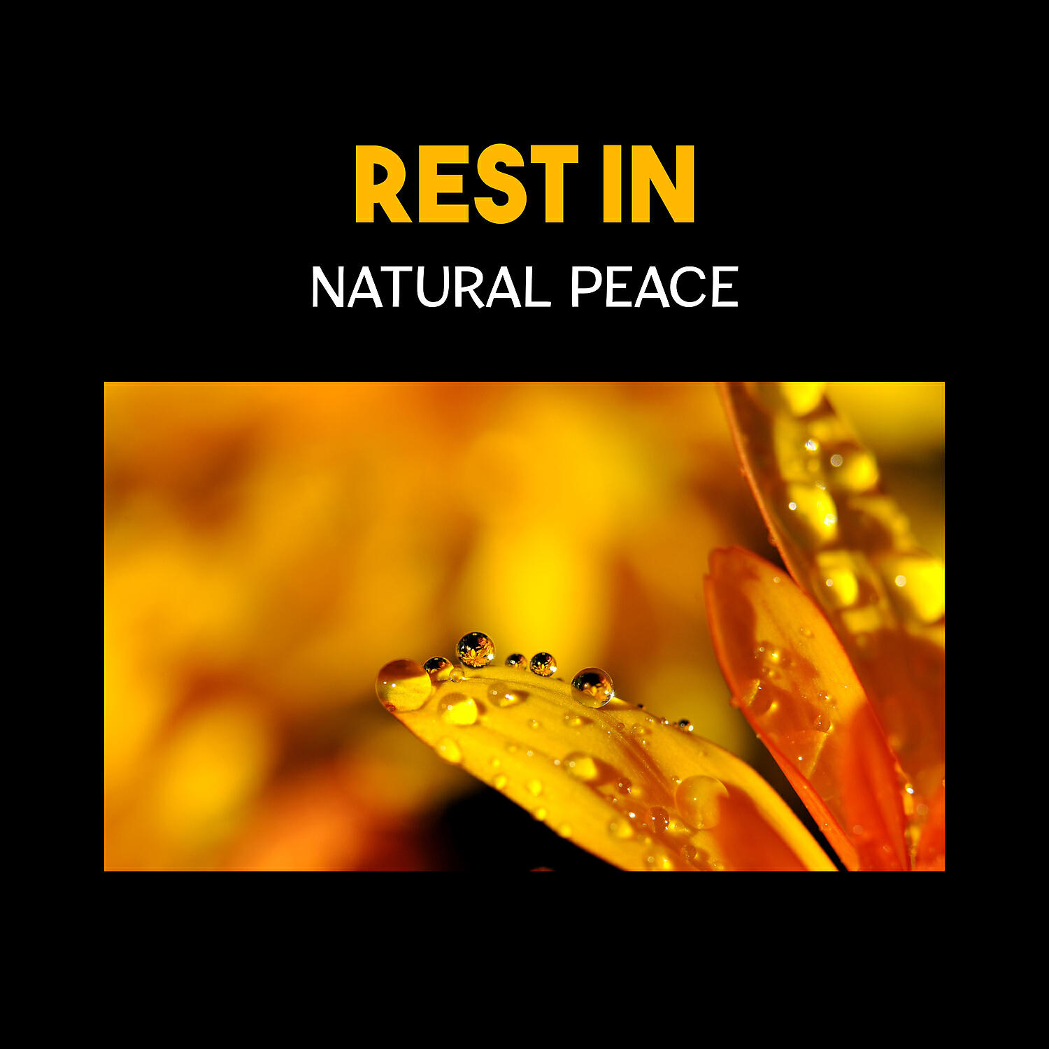 Soothing Chill Out for Insomnia - Guided Meditation for Insomnia