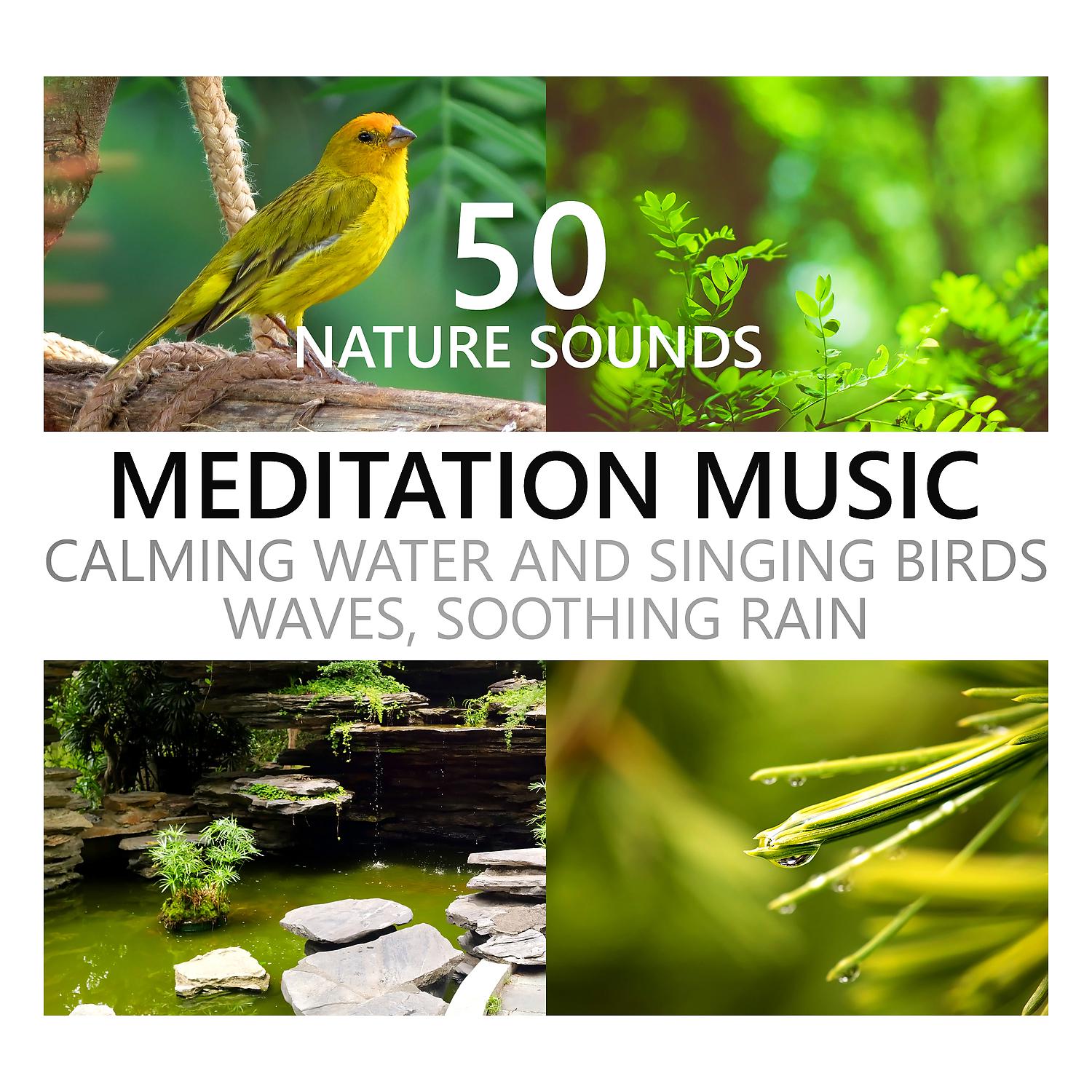 Постер альбома Nature Sounds Meditation Music: Calming Water and Singing Birds, Waves, Soothing Rain, Beach, Waterfall, Rainforest, Tropical Spa Surf