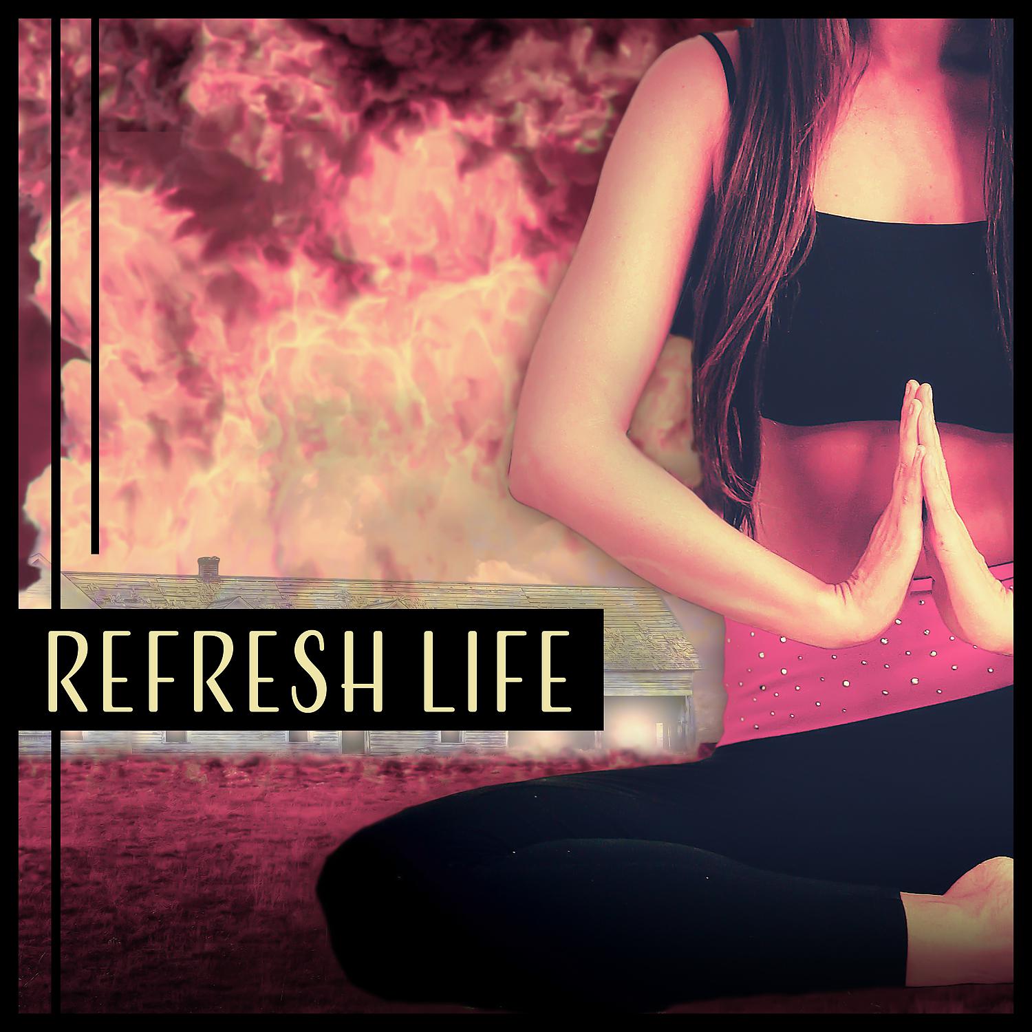 Постер альбома Refresh Life