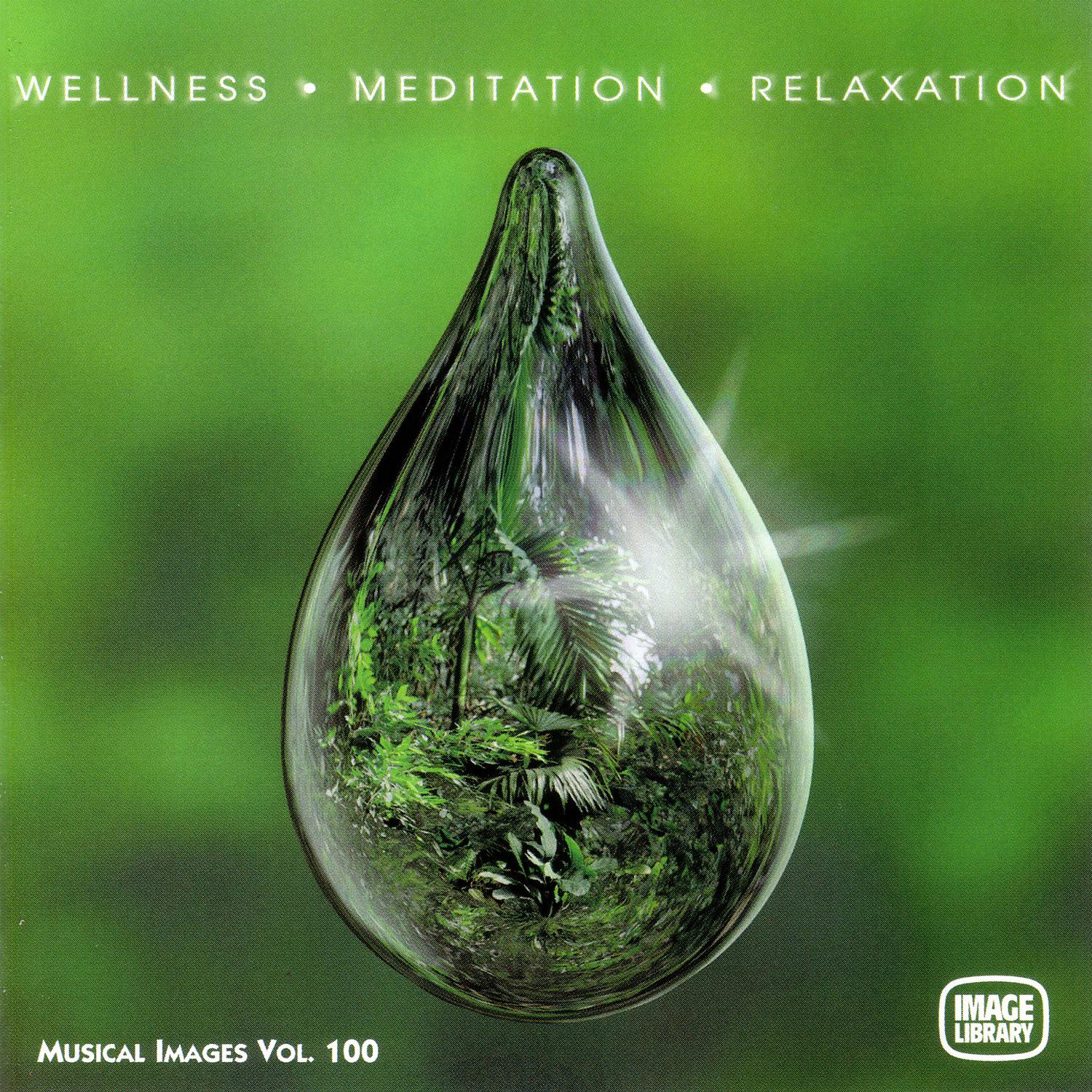 Постер альбома Wellness Meditation Relaxation