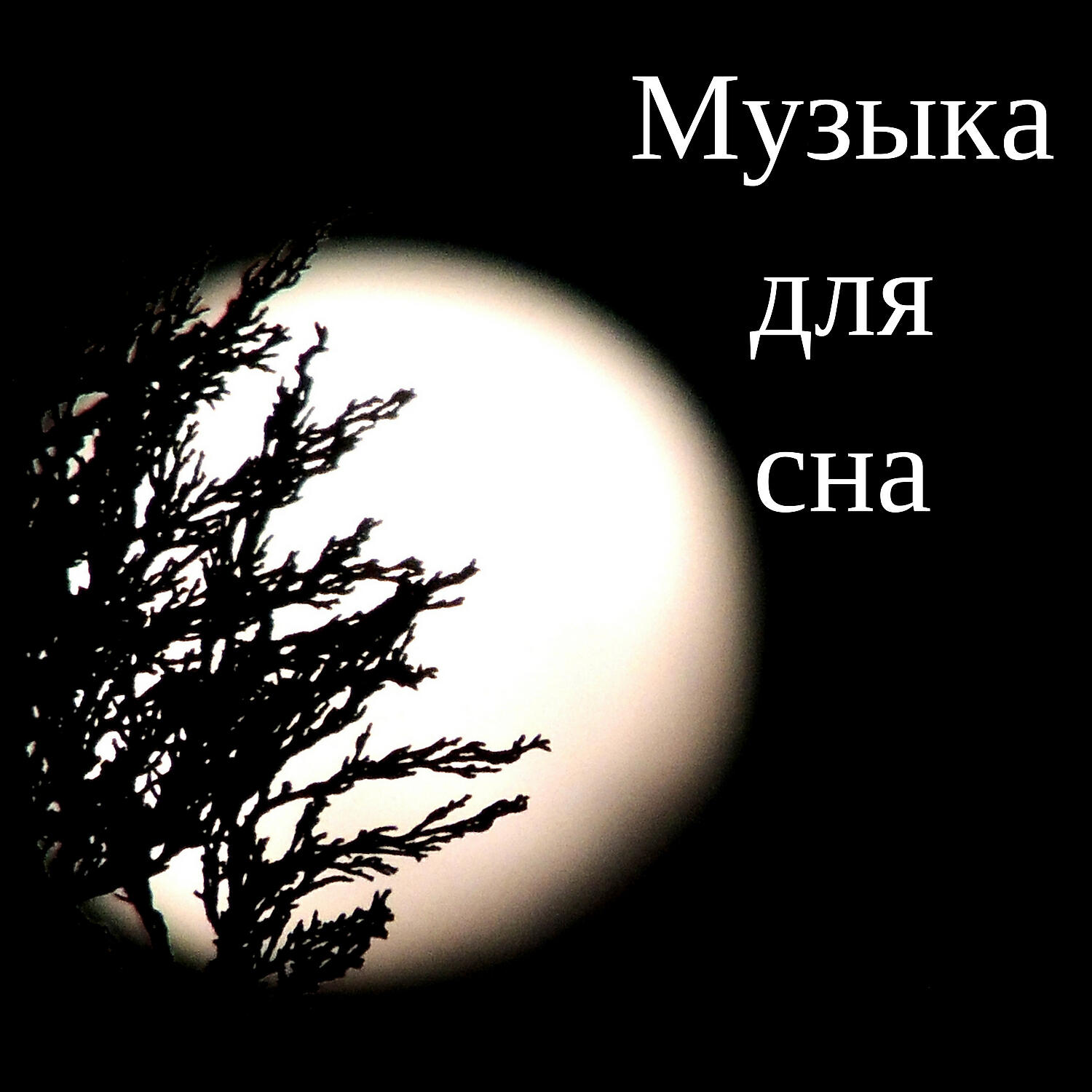 Постер альбома Музыка для сна - Инструментальная музыка со звуками природы, Белый шум, Cпокойный сон pасслабляющие звуки