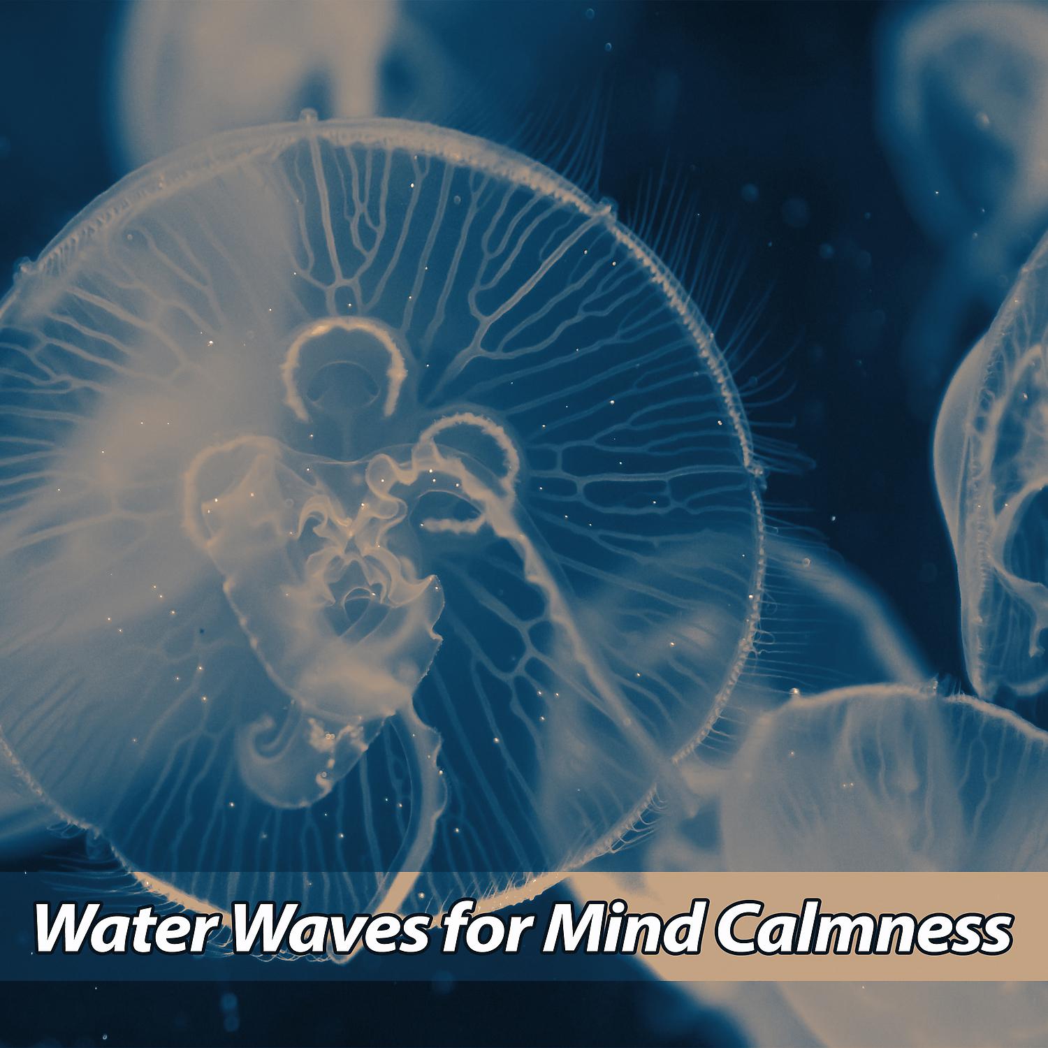 Постер альбома Water Waves for Mind Calmness – Calming Nature Sounds, New Age Music, Sounds to Relax, Rest a Bit