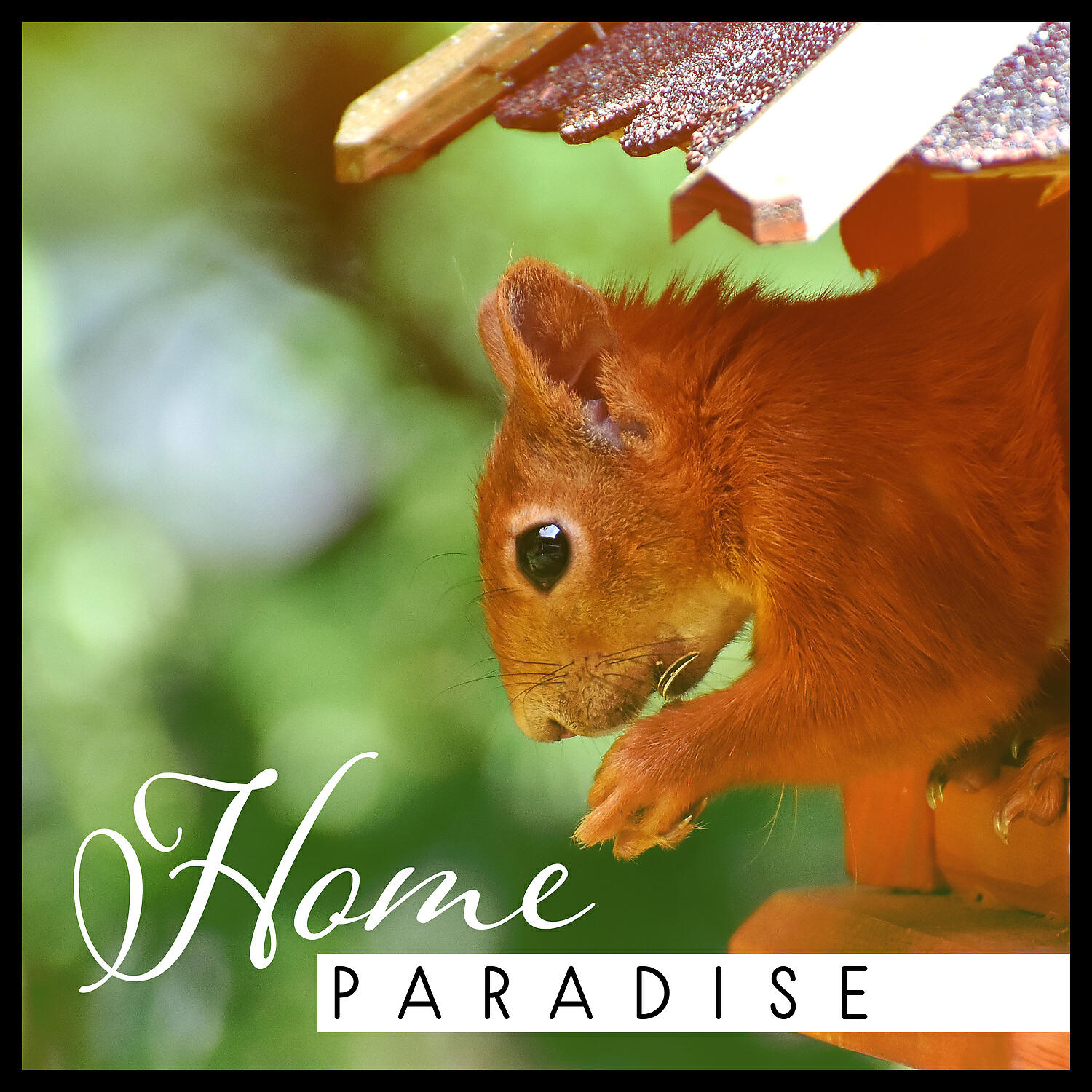 Healing Power Natural Sounds Oasis - Inner Reinforces
