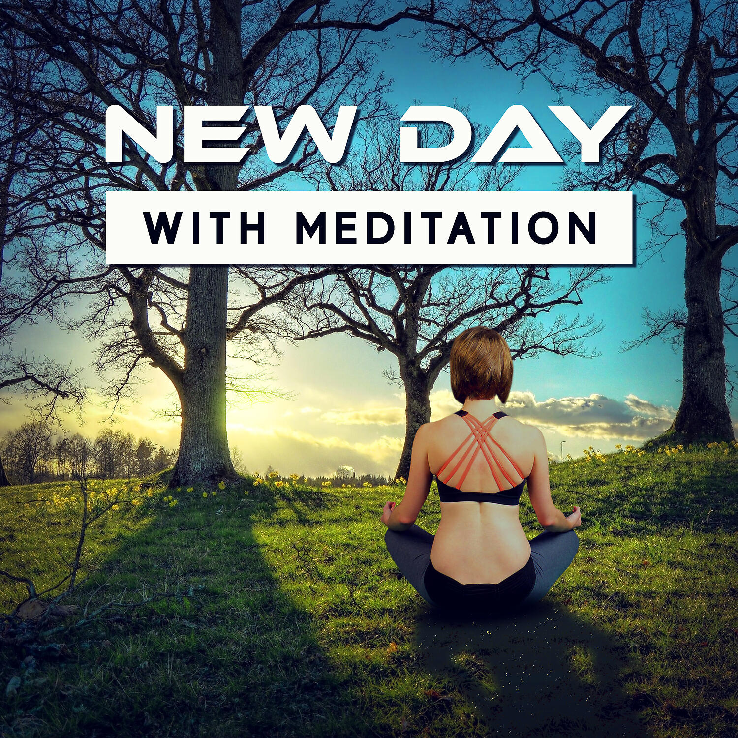 Great Meditation Guru - Blissful Awakening