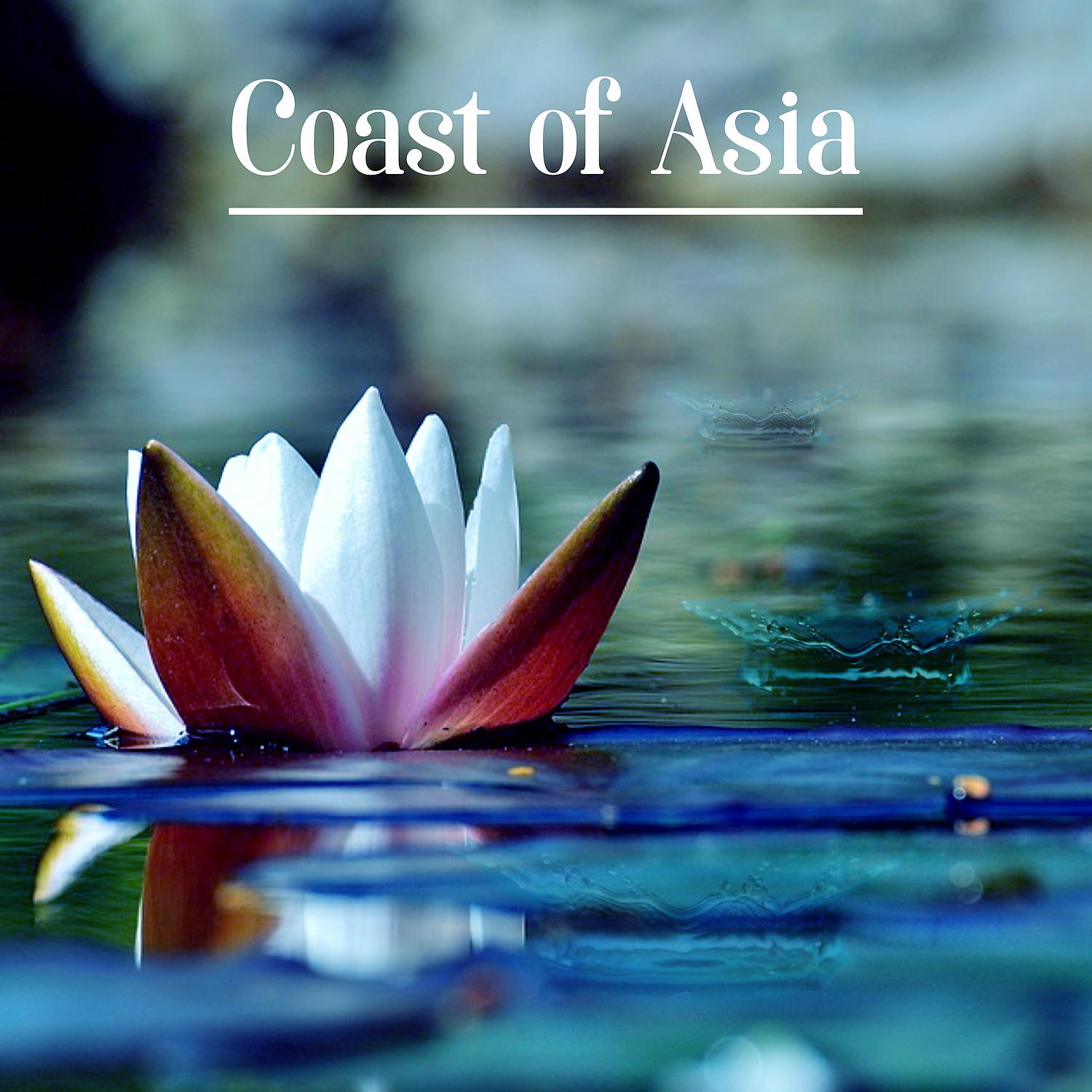 Постер альбома Coast of Asia - Wonderful Nature, Big Blue, Massage, Green Oasis