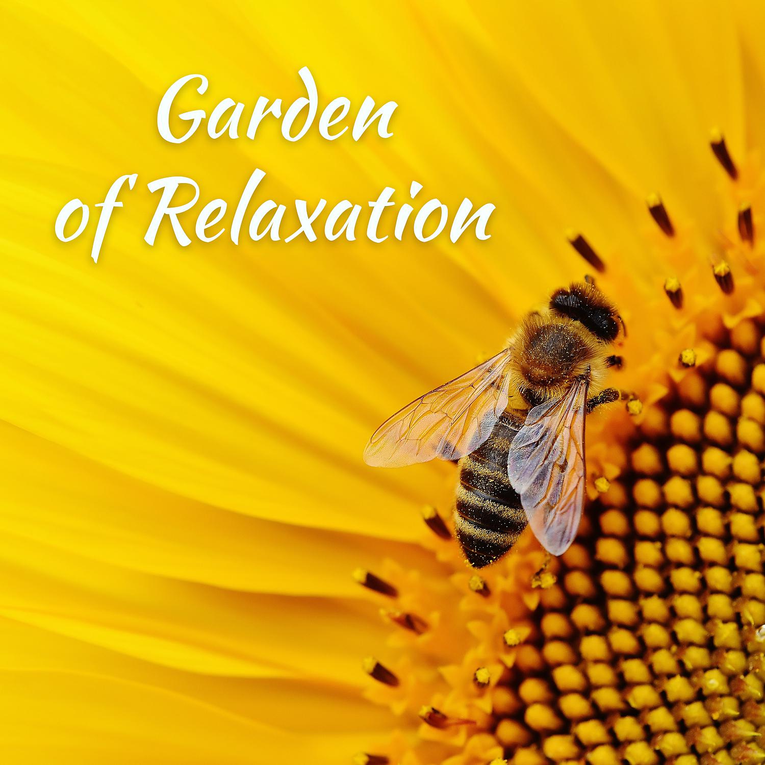 Постер альбома Garden of Relaxation: Peaceful Mystic Experience for Yoga, Meditation and Spa