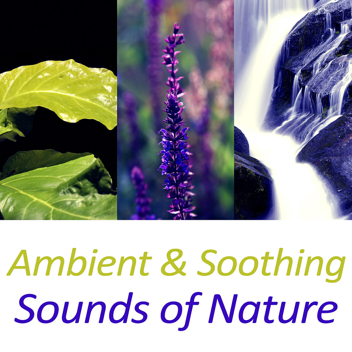 Sounds of Nature: Thunderstorm, Rain - Nature Therapeutic Healing