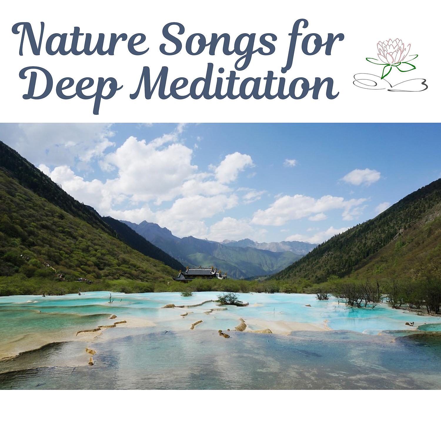 Постер альбома Nature Songs for Deep Meditation – Music for Sleep, Massage, Relaxation, Ambient Serenity, Reduce Stress