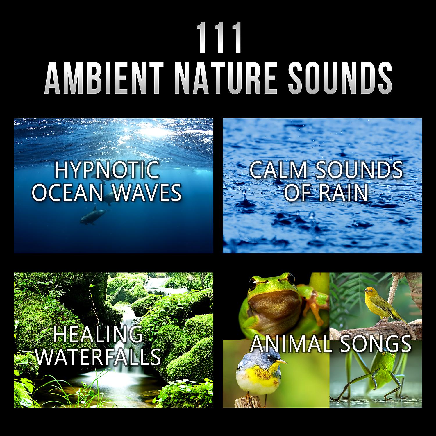 Yoga Meditation Music Set - Natural Remedies