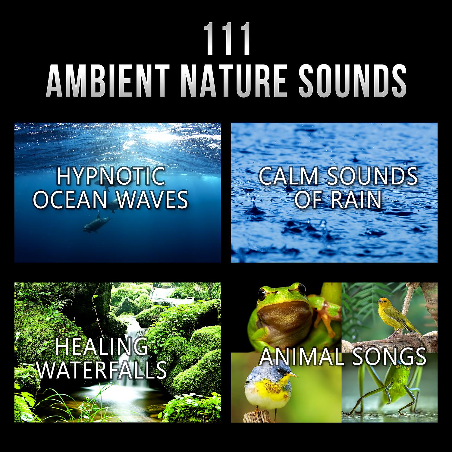 Yoga Meditation Music Set - Healing Sounds of Nature (Ocean Waves)