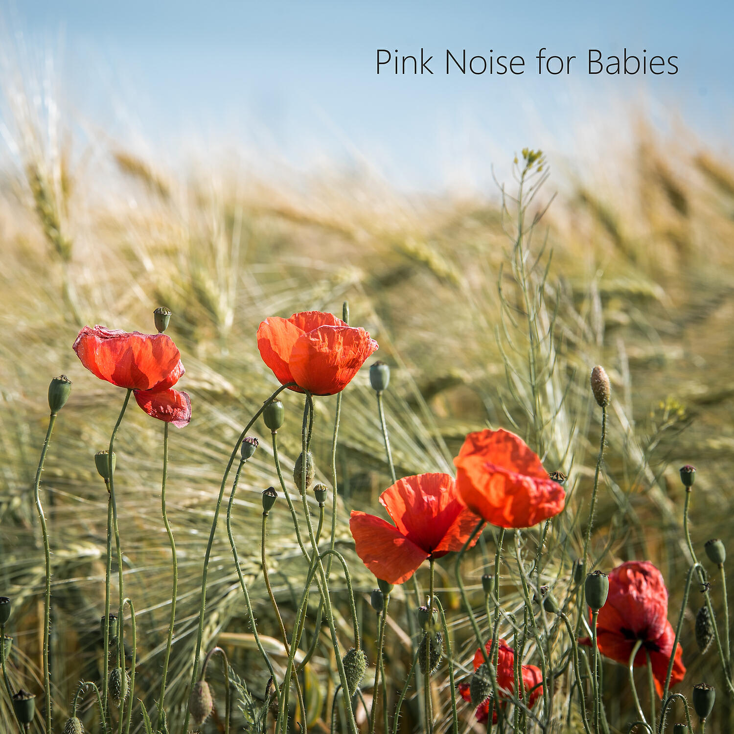 Natural White Noise Sound - Pink Noise for Babies (Free Sleep Noise) feat. White Noise for Sleep