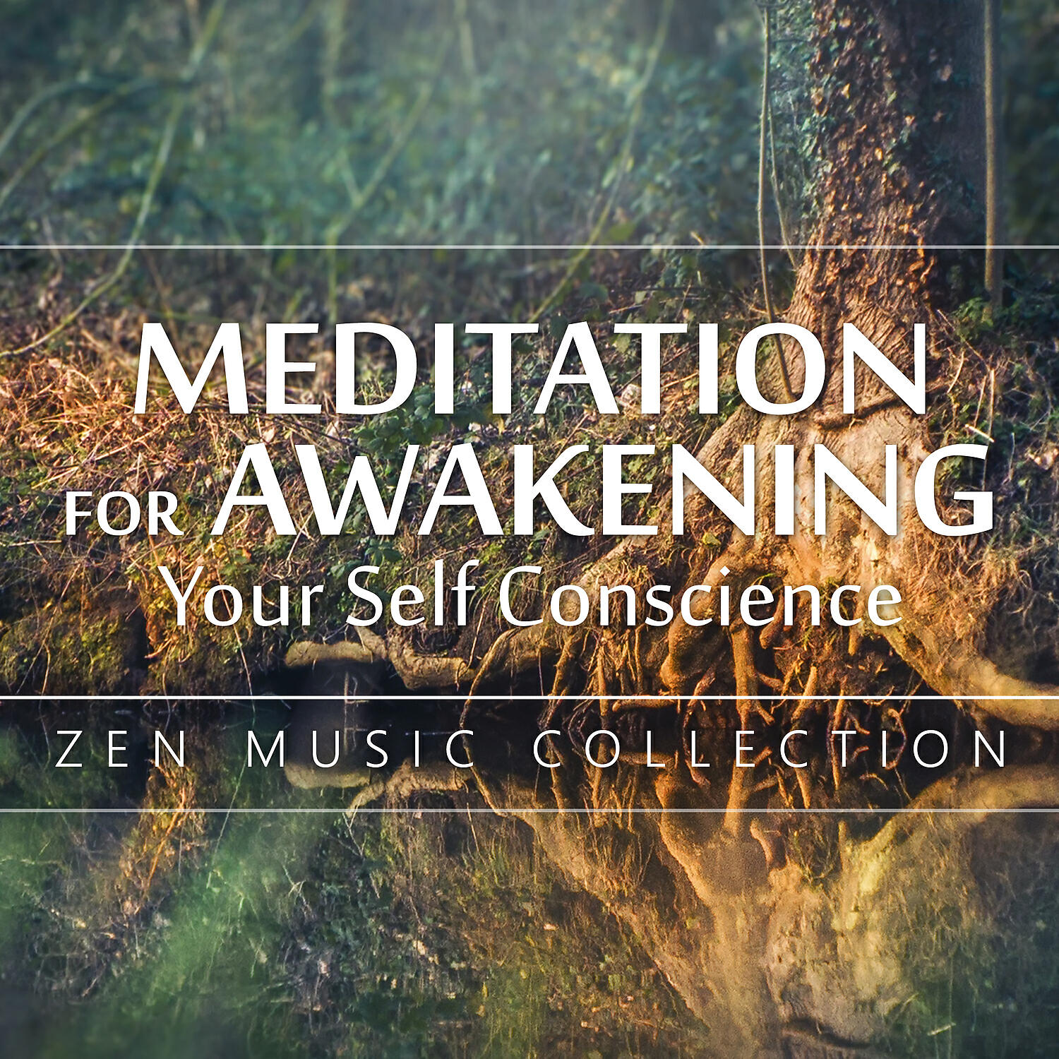 Guided Meditation Music Zone - Buddhist Guided Meditation