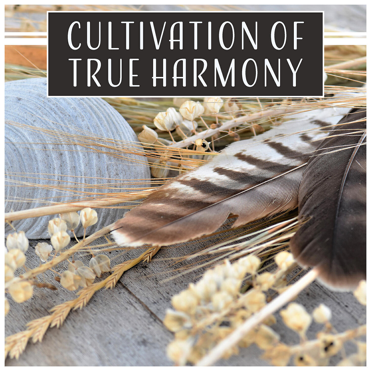 Spiritual Music Collection - Stress Management