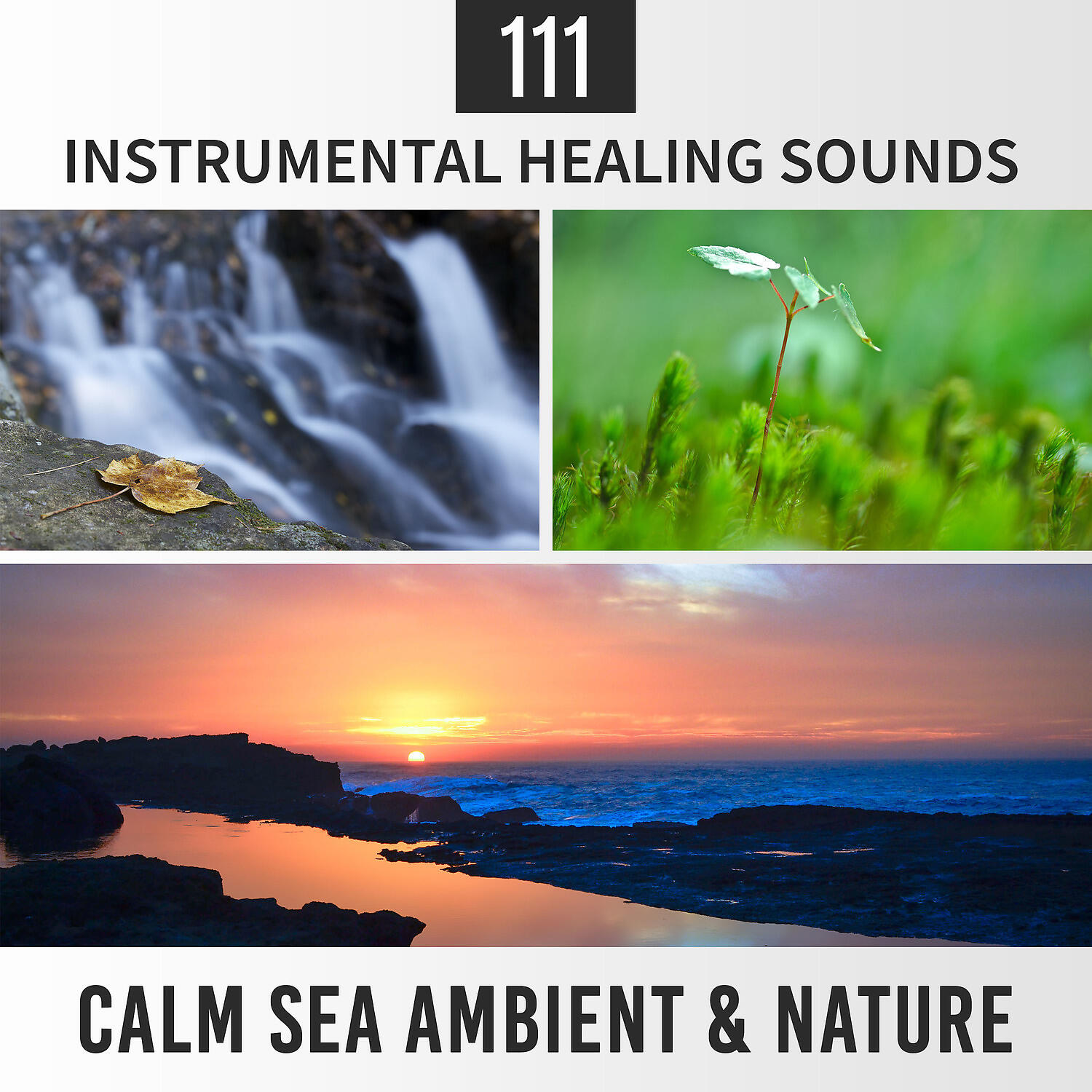 Sea Tranquility Academy - Health and Well Being