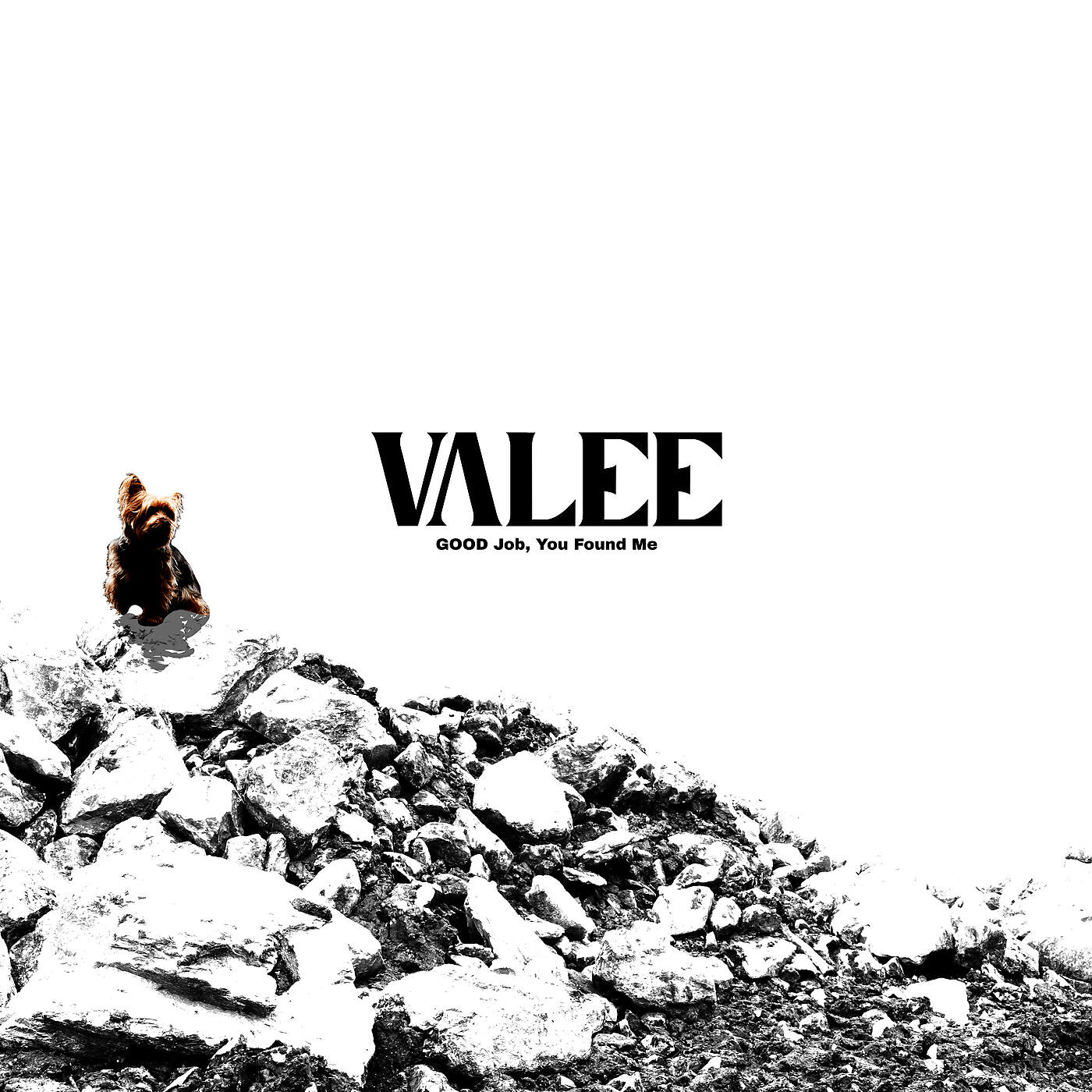 Valee - Skinny