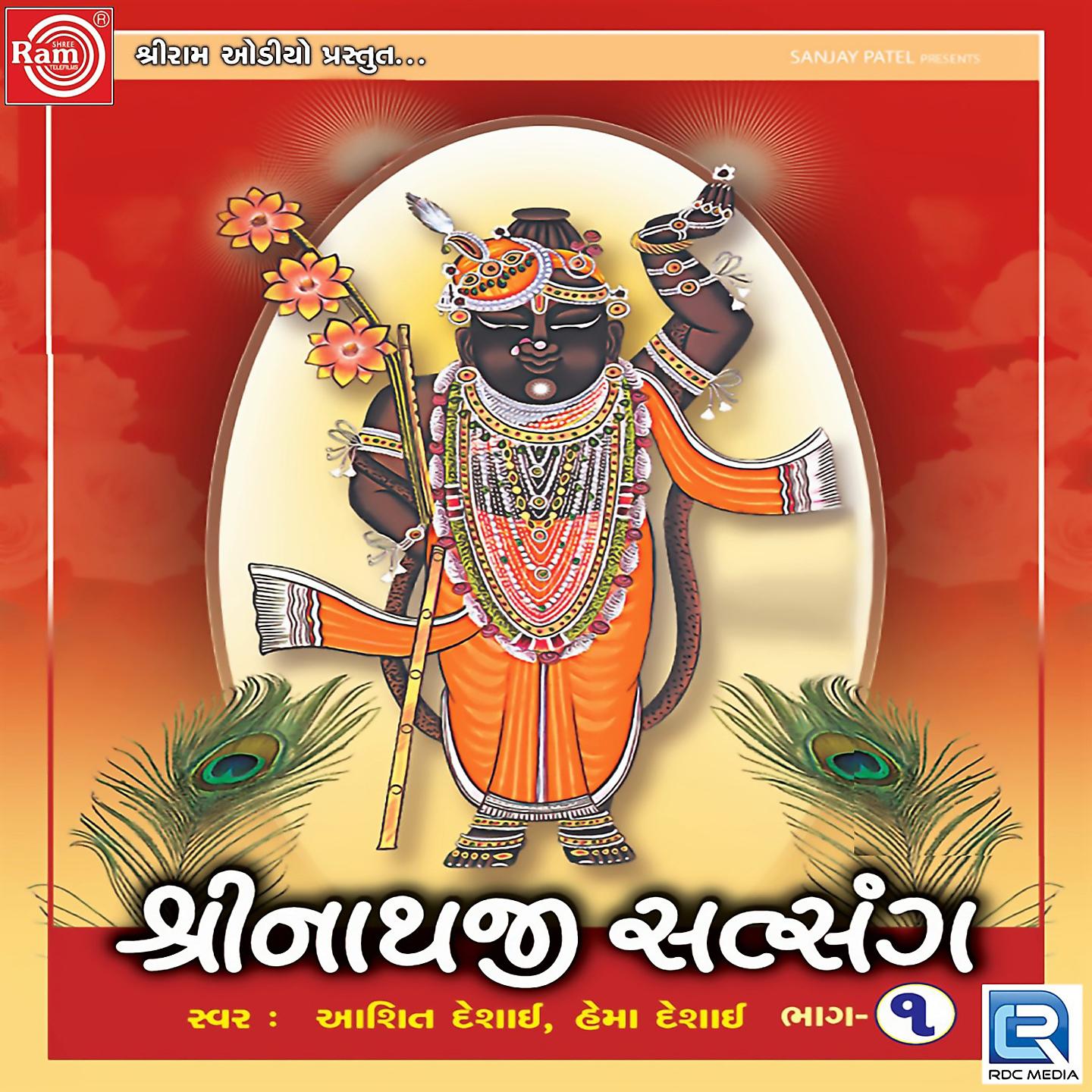 Постер альбома Shrinathji Satsang, Pt. 1