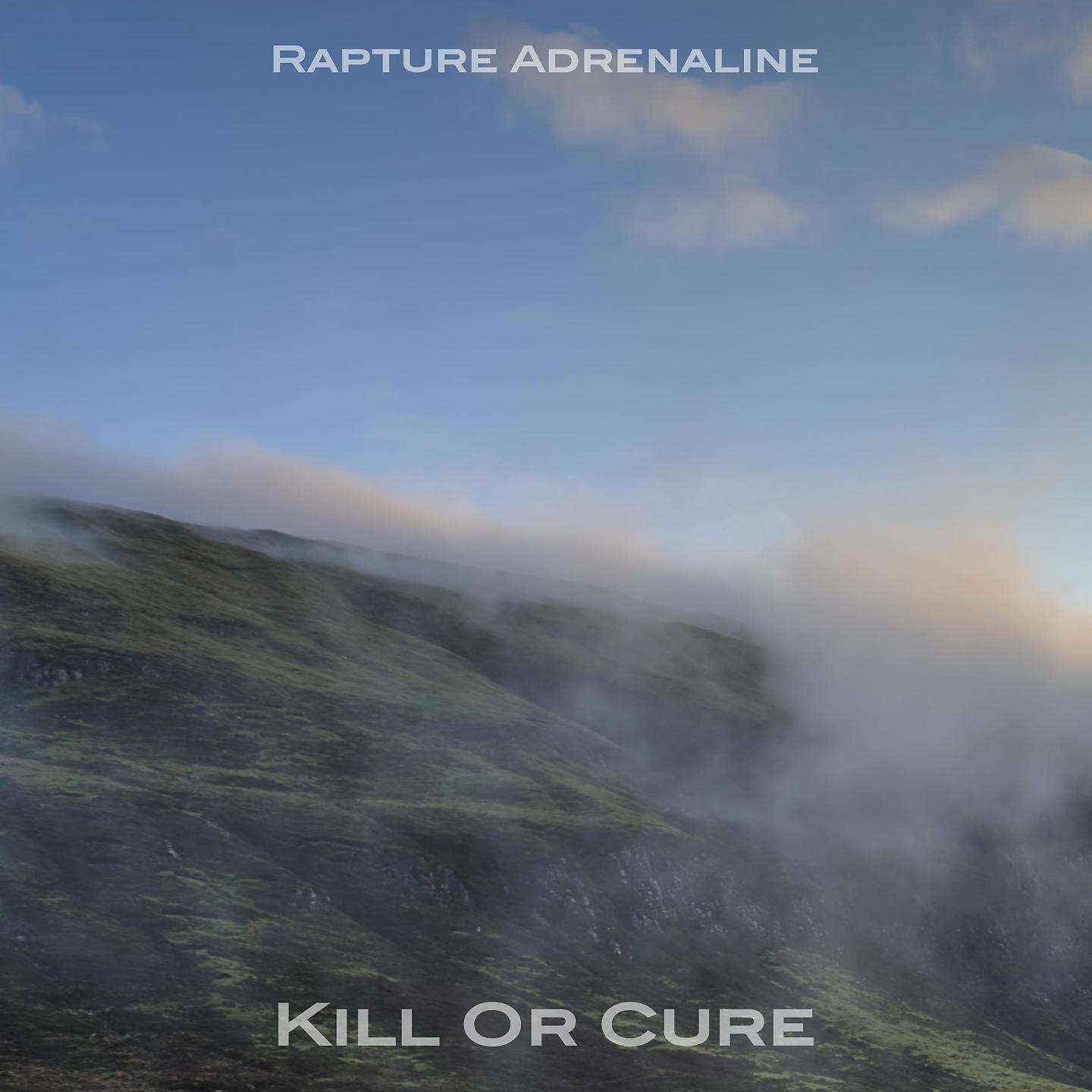 Постер альбома Kill Or Cure